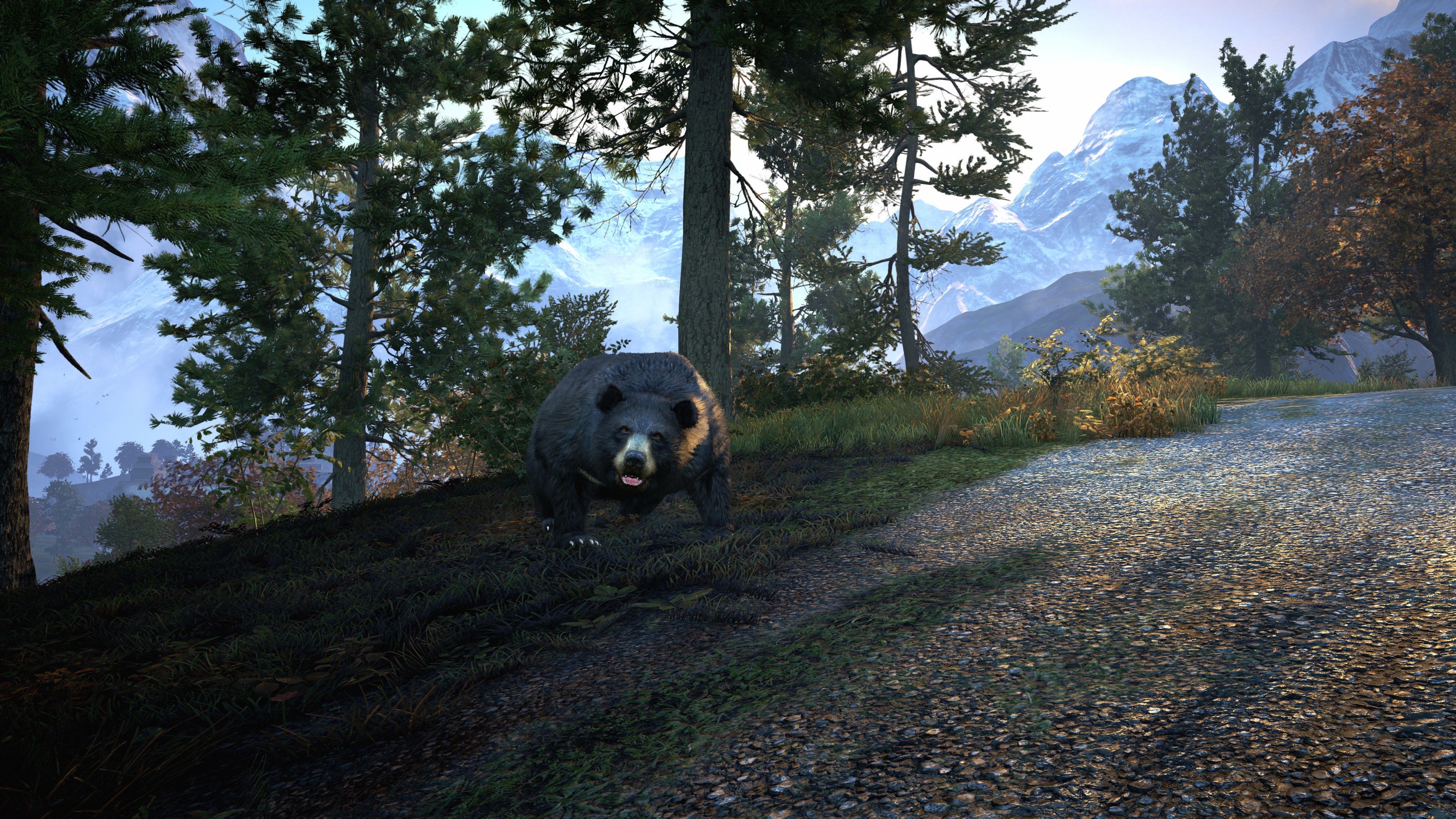 Free download wallpaper Bear, Video Game, Far Cry, Far Cry 4 on your PC desktop