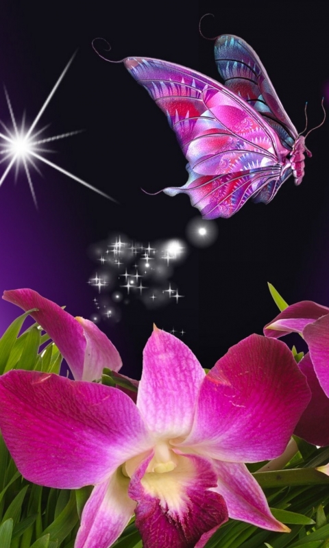 Скачать картинку Цветок, Бабочка, Орхидея, Художественные, Флауэрсы в телефон бесплатно.