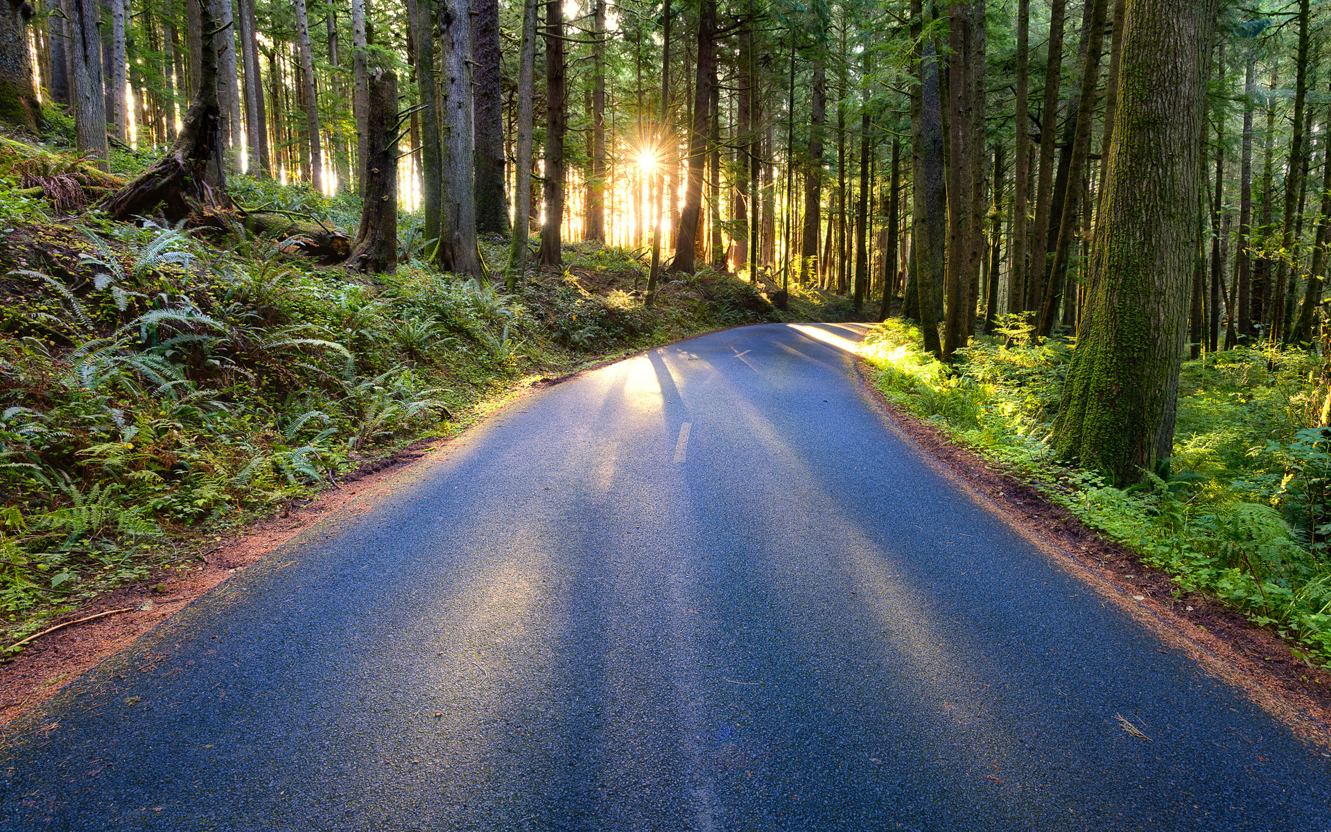 Descarga gratis la imagen Carretera, Hecho Por El Hombre en el escritorio de tu PC