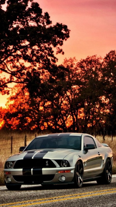 Download mobile wallpaper Ford, Vehicles, Ford Mustang Shelby for free.