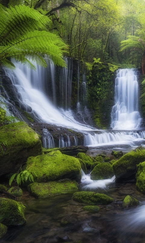Handy-Wallpaper Wasserfälle, Wasserfall, Wald, Erde, Moos, Tropisch, Erde/natur kostenlos herunterladen.