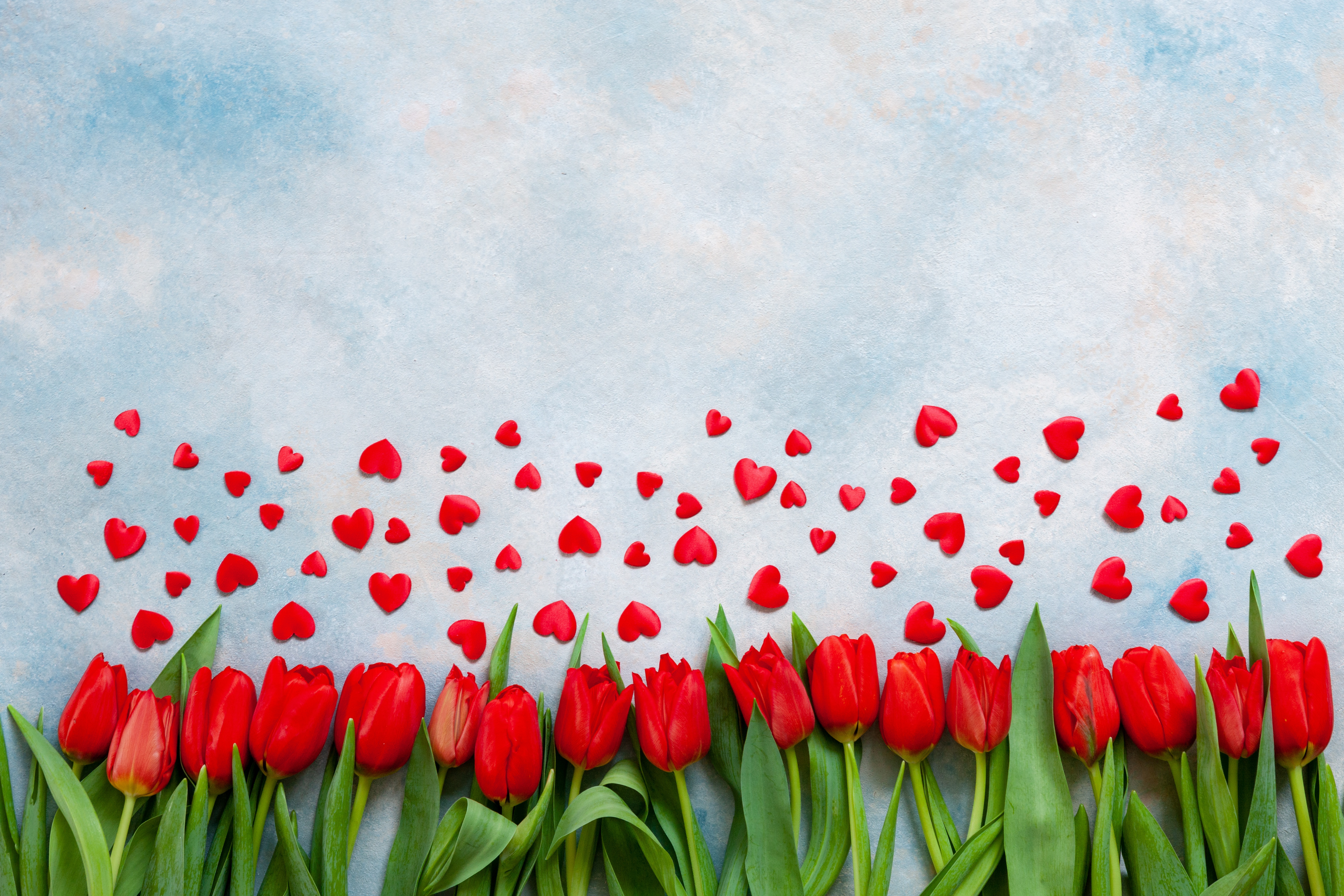 Free download wallpaper Flower, Heart, Tulip, Red Flower, Man Made on your PC desktop