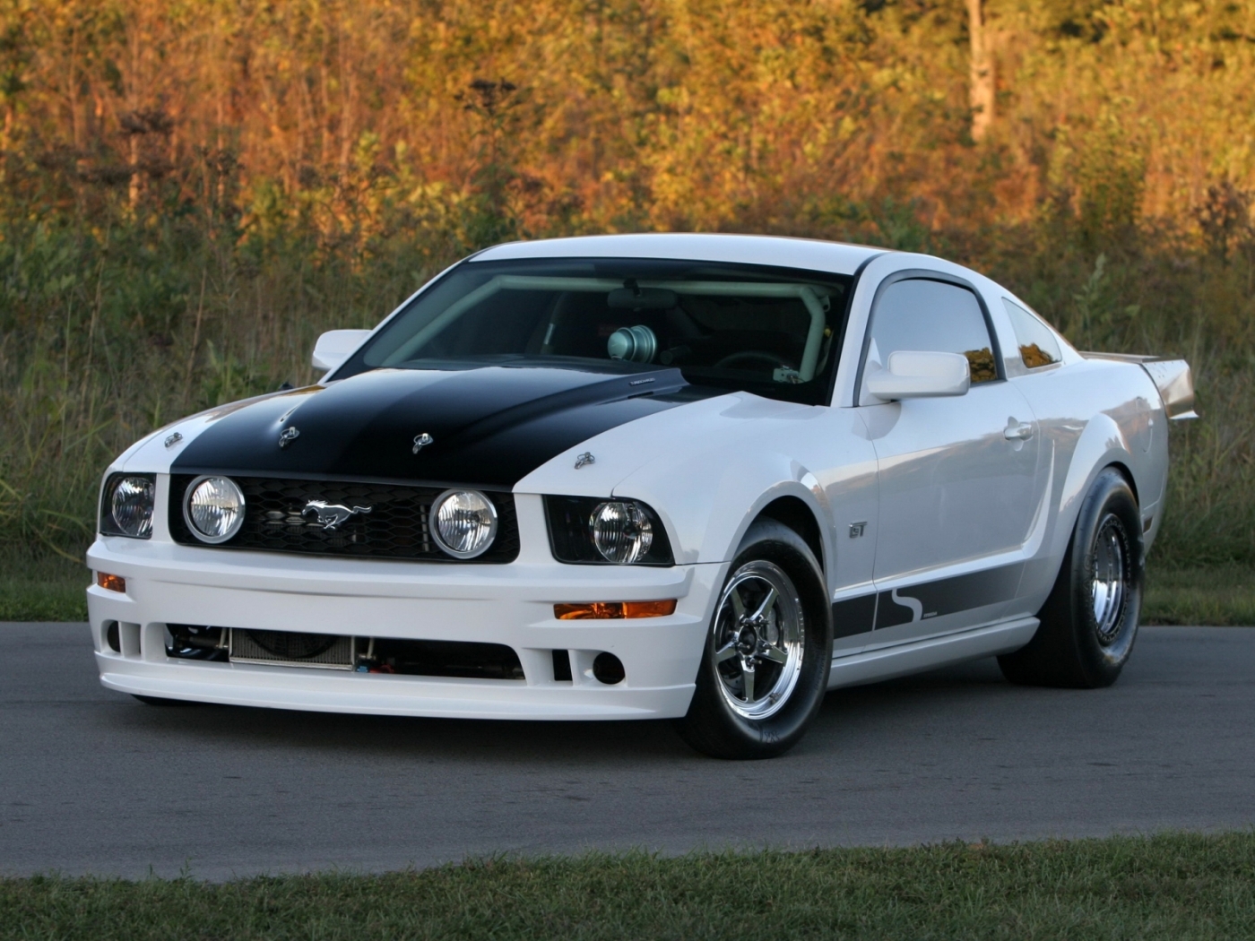 ford, mustang, transport, auto Full HD
