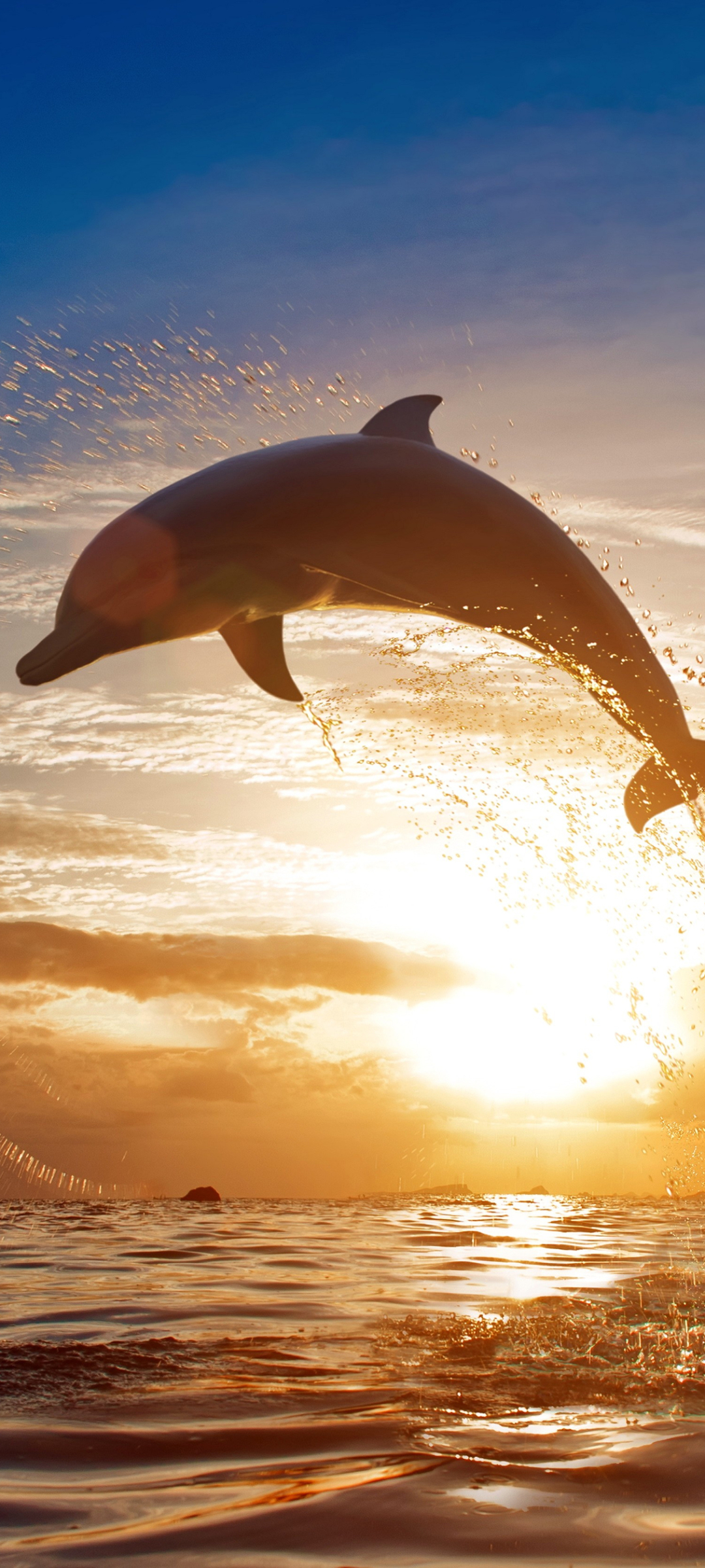 Скачати мобільні шпалери Океан, Тварина, Дельфін, Захід Сонця безкоштовно.