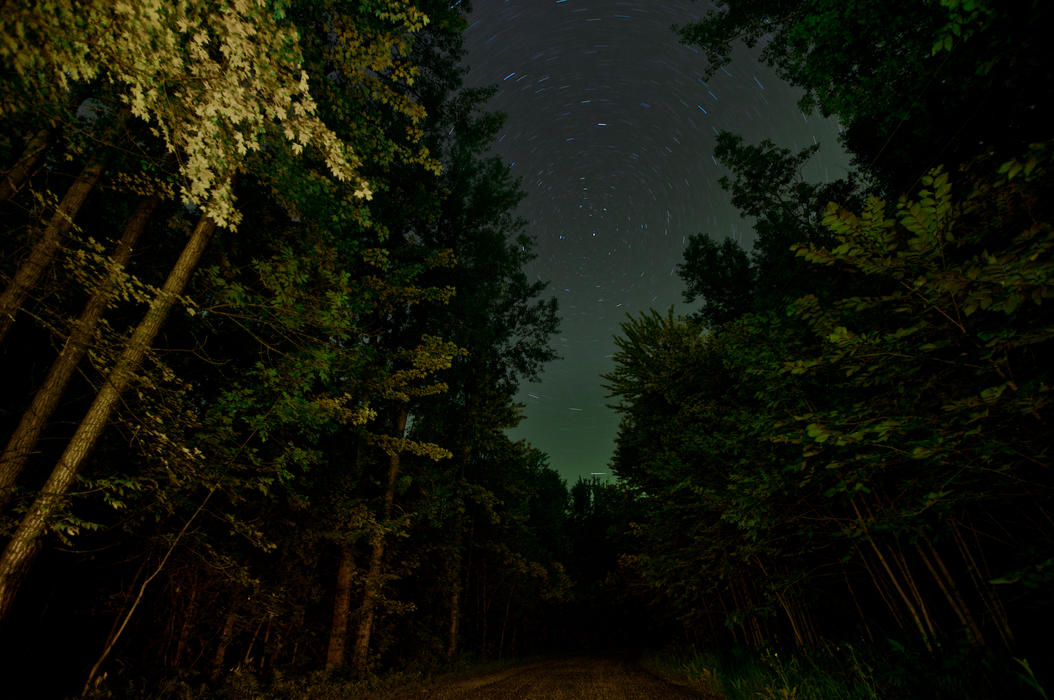 Descarga gratis la imagen Bosque, Tierra/naturaleza en el escritorio de tu PC