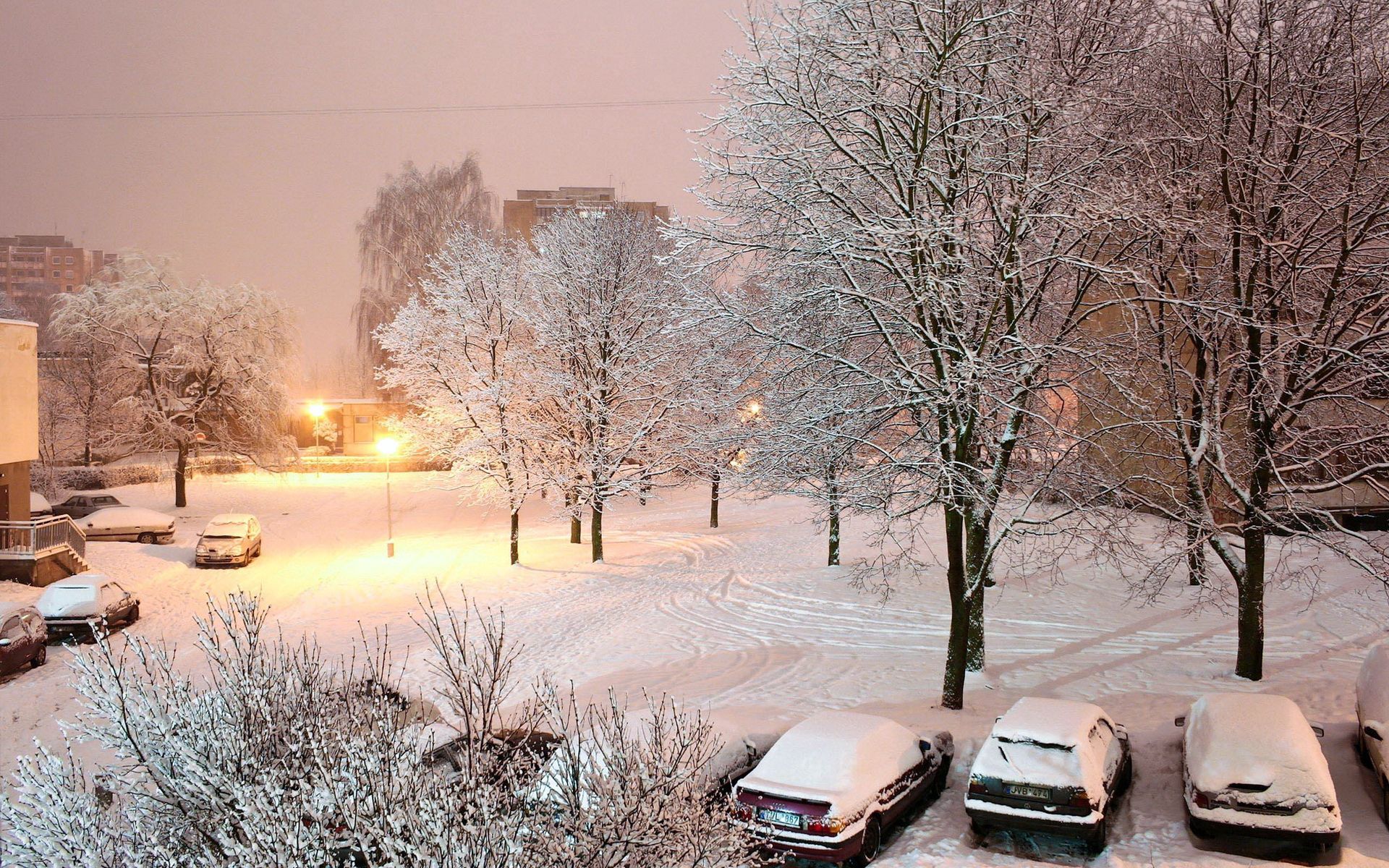 snow, auto, winter, nature, trees, lights, shine, light, lanterns, courtyard, yard