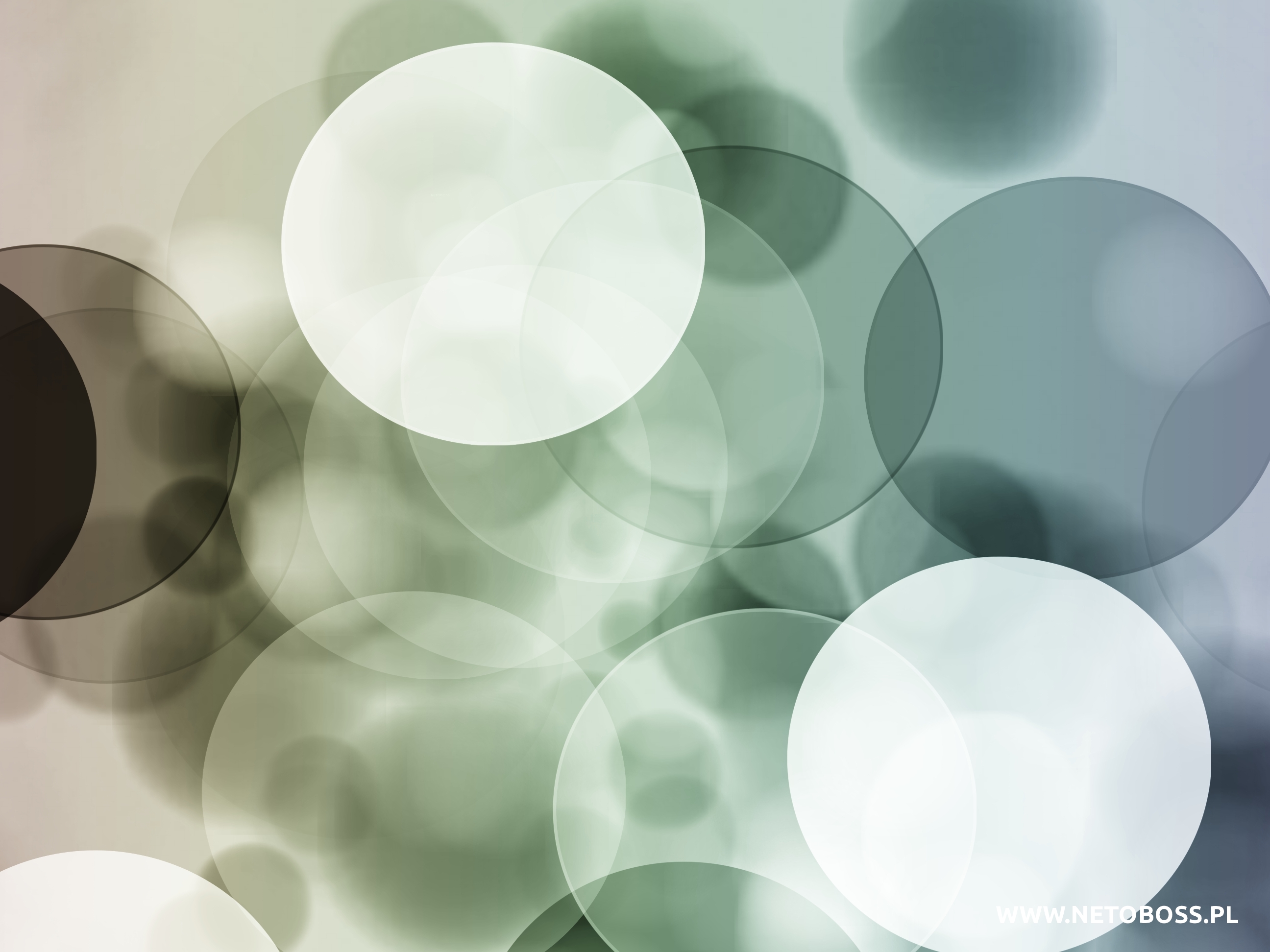 Download mobile wallpaper Abstract, Circle for free.