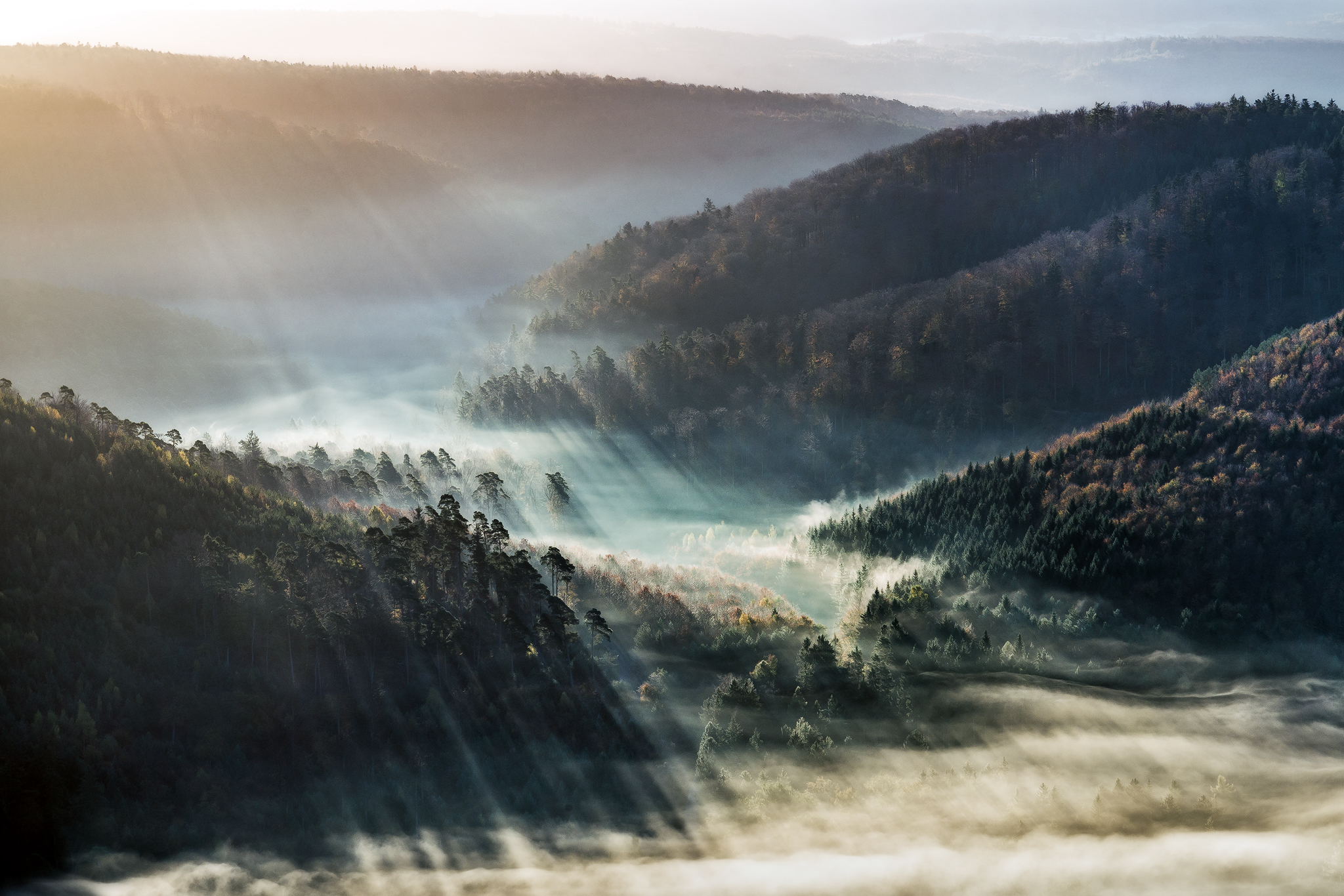 Free download wallpaper Landscape, Nature, Forest, Fog, Earth, Valley, Sunbeam on your PC desktop