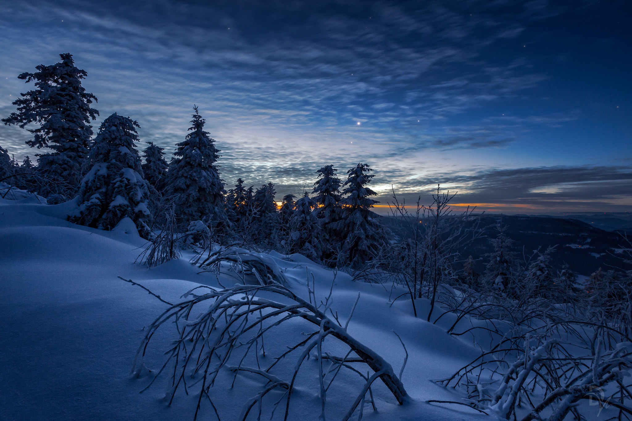 PCデスクトップに冬, 自然, 木, 雪, 地球, 夜, 空画像を無料でダウンロード