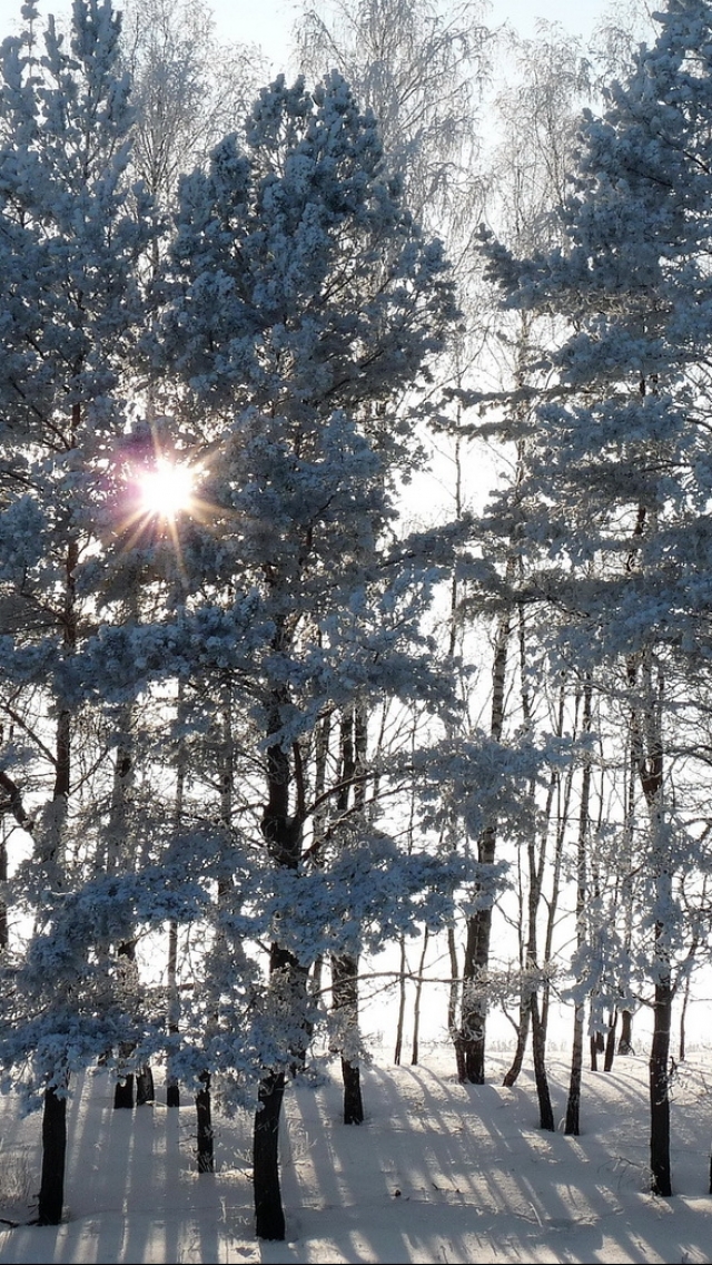 Handy-Wallpaper Winter, Erde/natur kostenlos herunterladen.