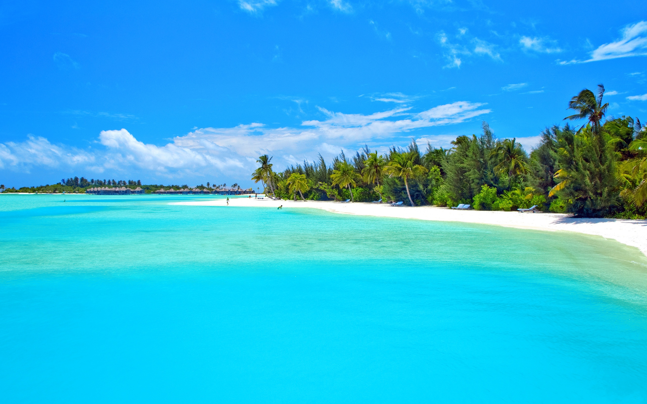 Laden Sie das Ozean, Palme, Insel, Tropisch, Fotografie, Feiertag-Bild kostenlos auf Ihren PC-Desktop herunter