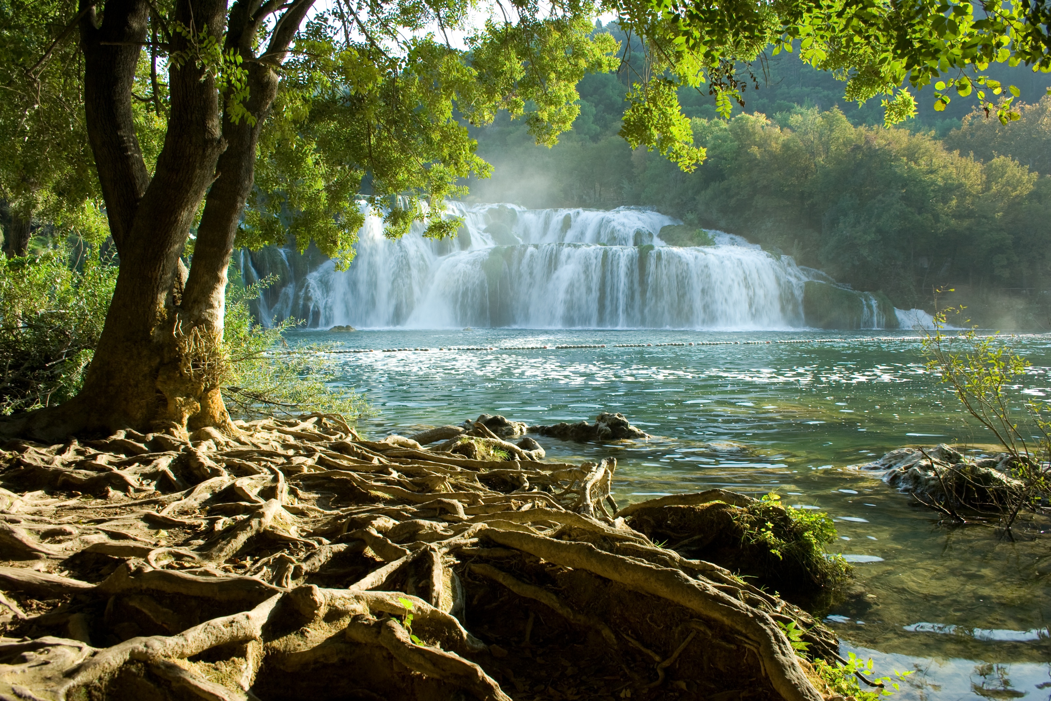 Download mobile wallpaper Waterfalls, Waterfall, Forest, Tree, Earth, River for free.