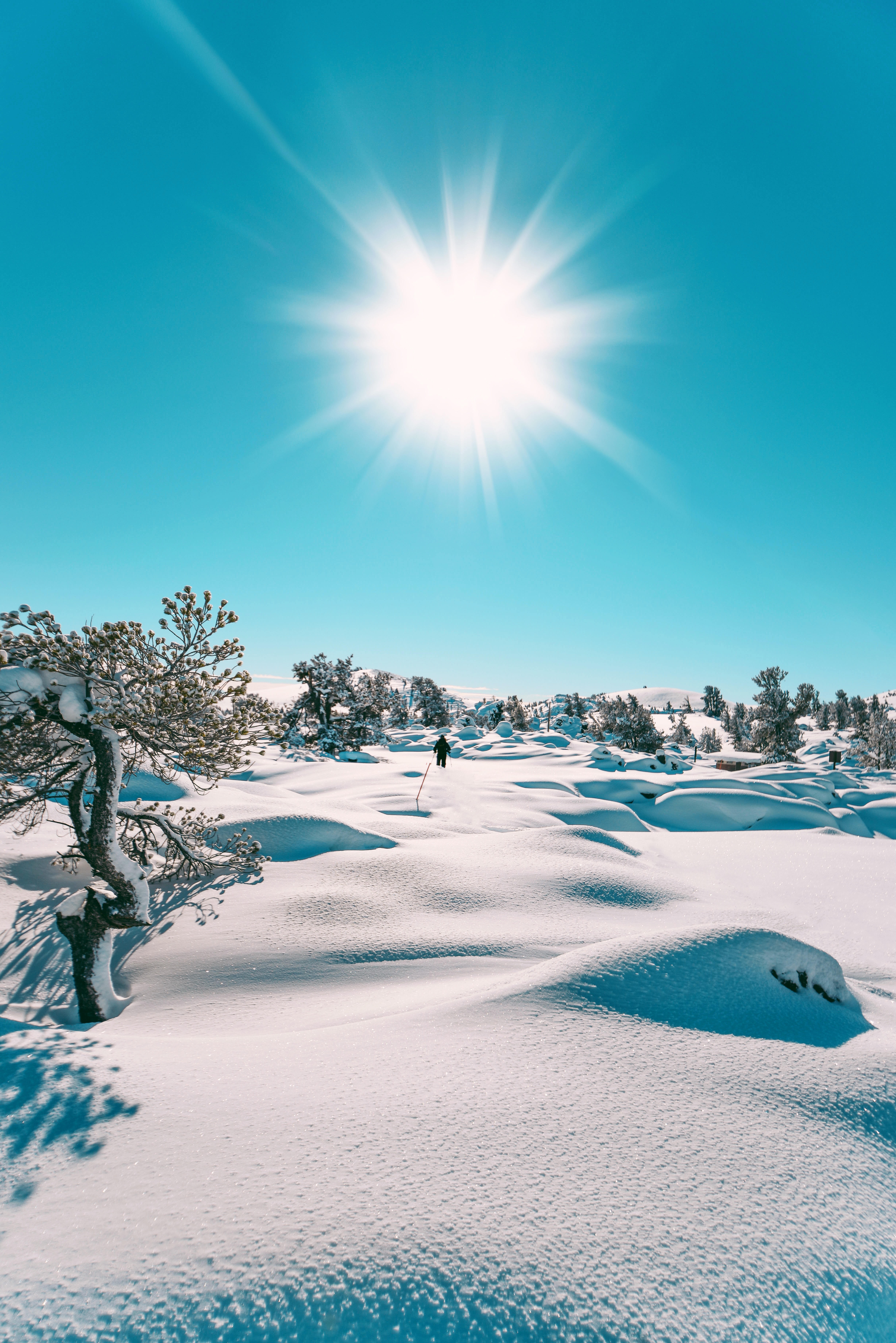 Скачать обои бесплатно Снег, Природа, Солнце, Зима, Пейзаж картинка на рабочий стол ПК