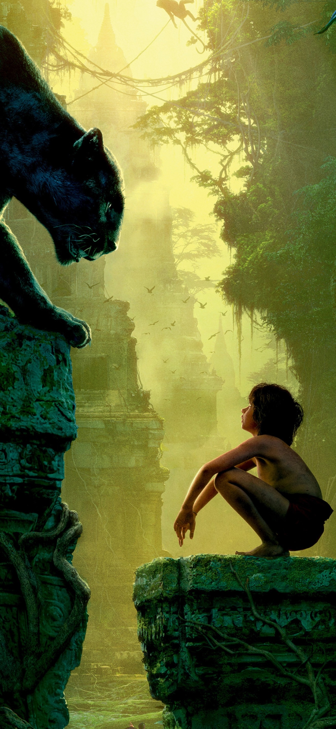mowgli, bagheera, movie, the jungle book (2016), the jungle book High Definition image