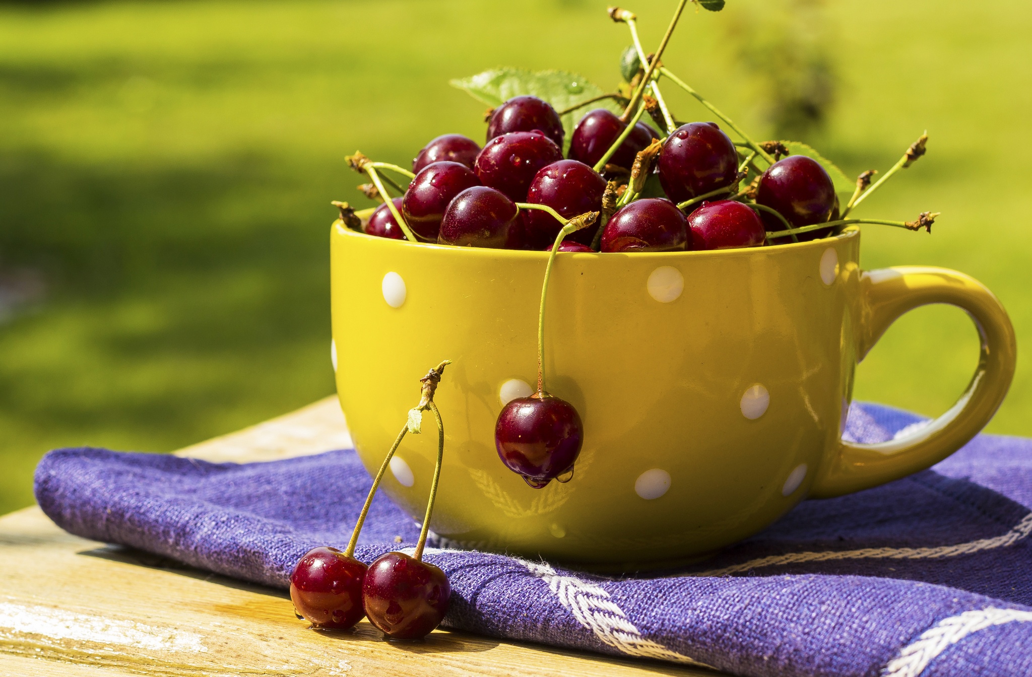 Free download wallpaper Fruits, Food, Cherry, Cup, Fruit on your PC desktop