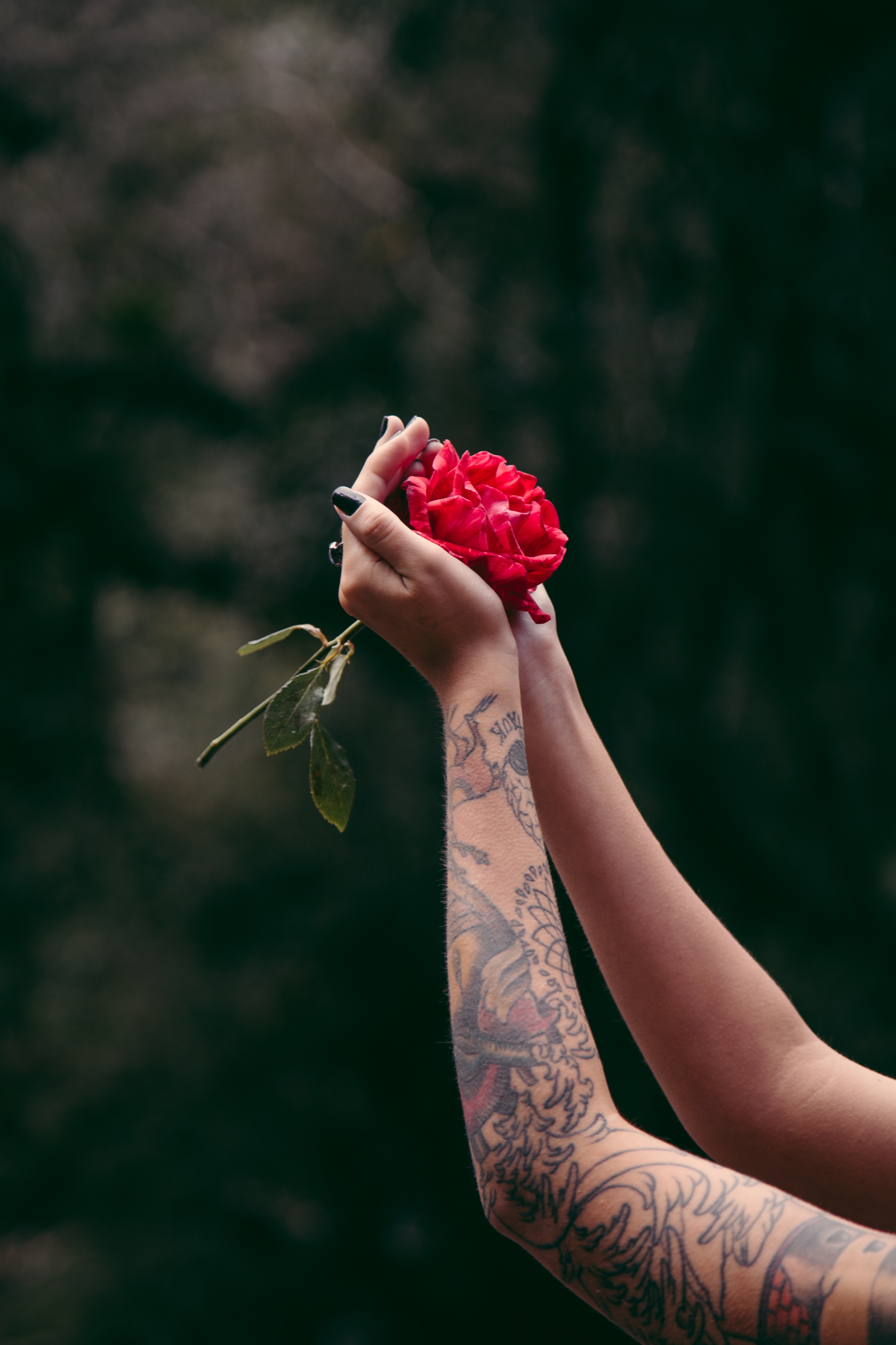 94975 скачать картинку цветы, роза, руки, татуировки - обои и заставки бесплатно