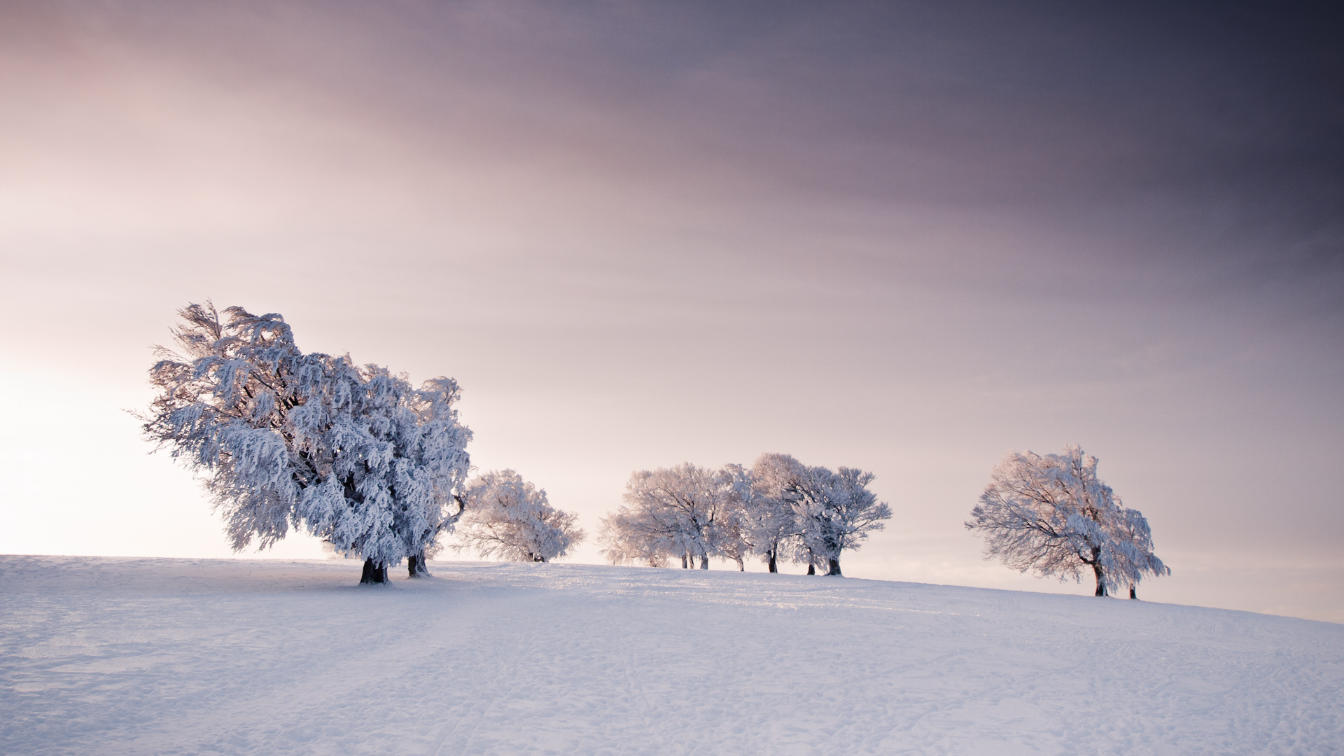 Baixe gratuitamente a imagem Inverno, Terra/natureza na área de trabalho do seu PC