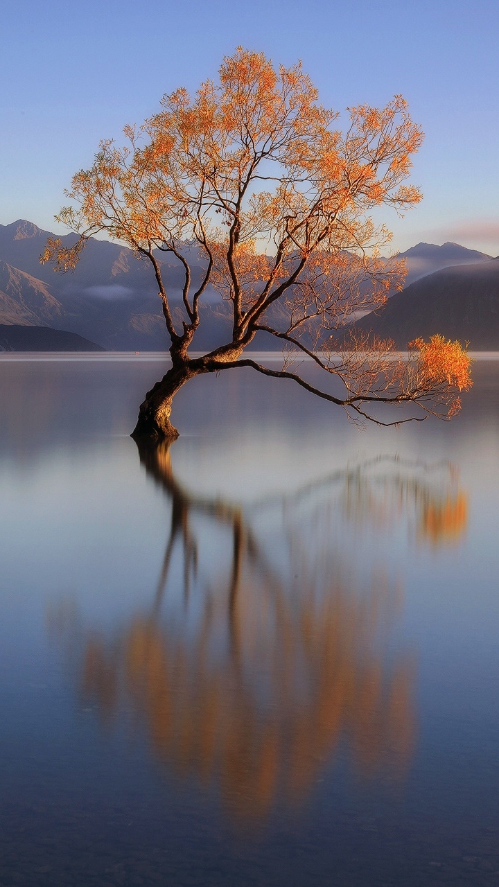 Download mobile wallpaper Nature, Trees, Mountain, Lake, Reflection, Tree, Earth, Lonely Tree for free.
