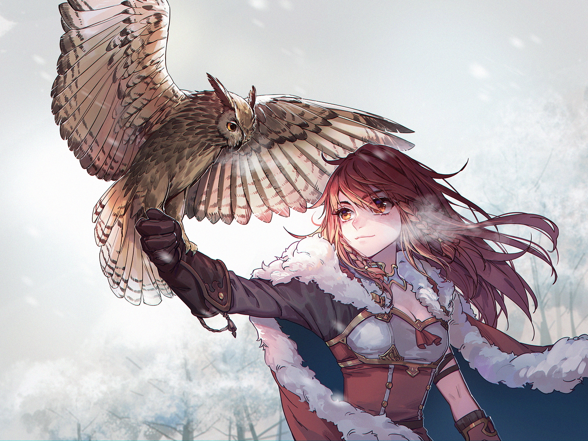Free download wallpaper Anime, Owl, Original on your PC desktop