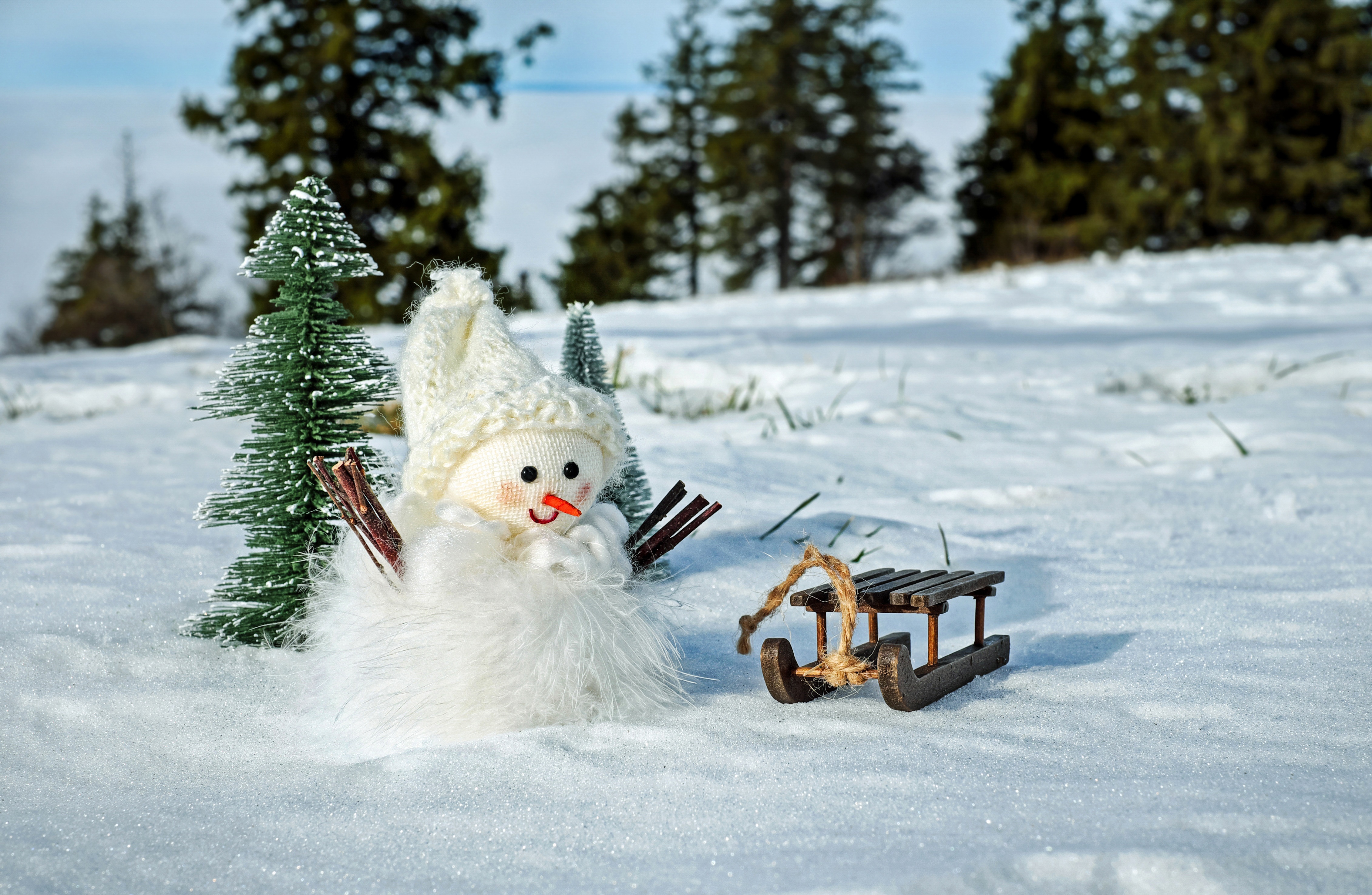 Скачать картинку Рождество, Игрушка, Снеговик, Сани, Фотографии в телефон бесплатно.