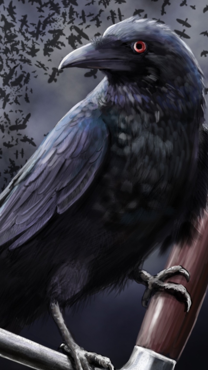 Download mobile wallpaper Animal, Raven, Crow for free.