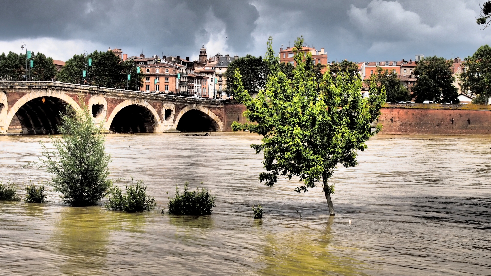 Descarga gratuita de fondo de pantalla para móvil de Pont Neuf (Toulouse), Puentes, Hecho Por El Hombre.