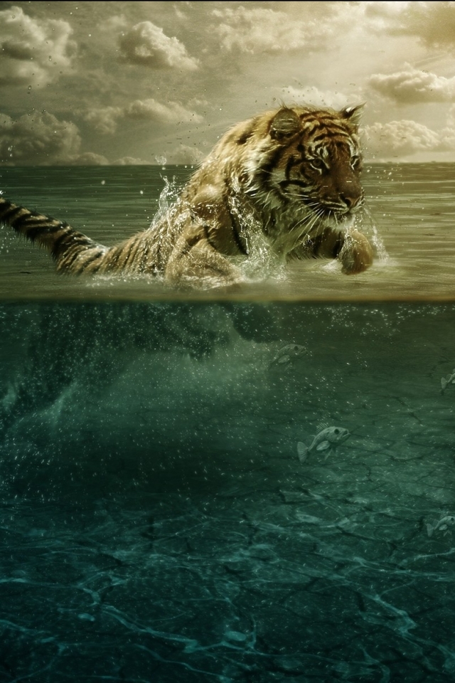 Download mobile wallpaper Cats, Tiger, Animal for free.