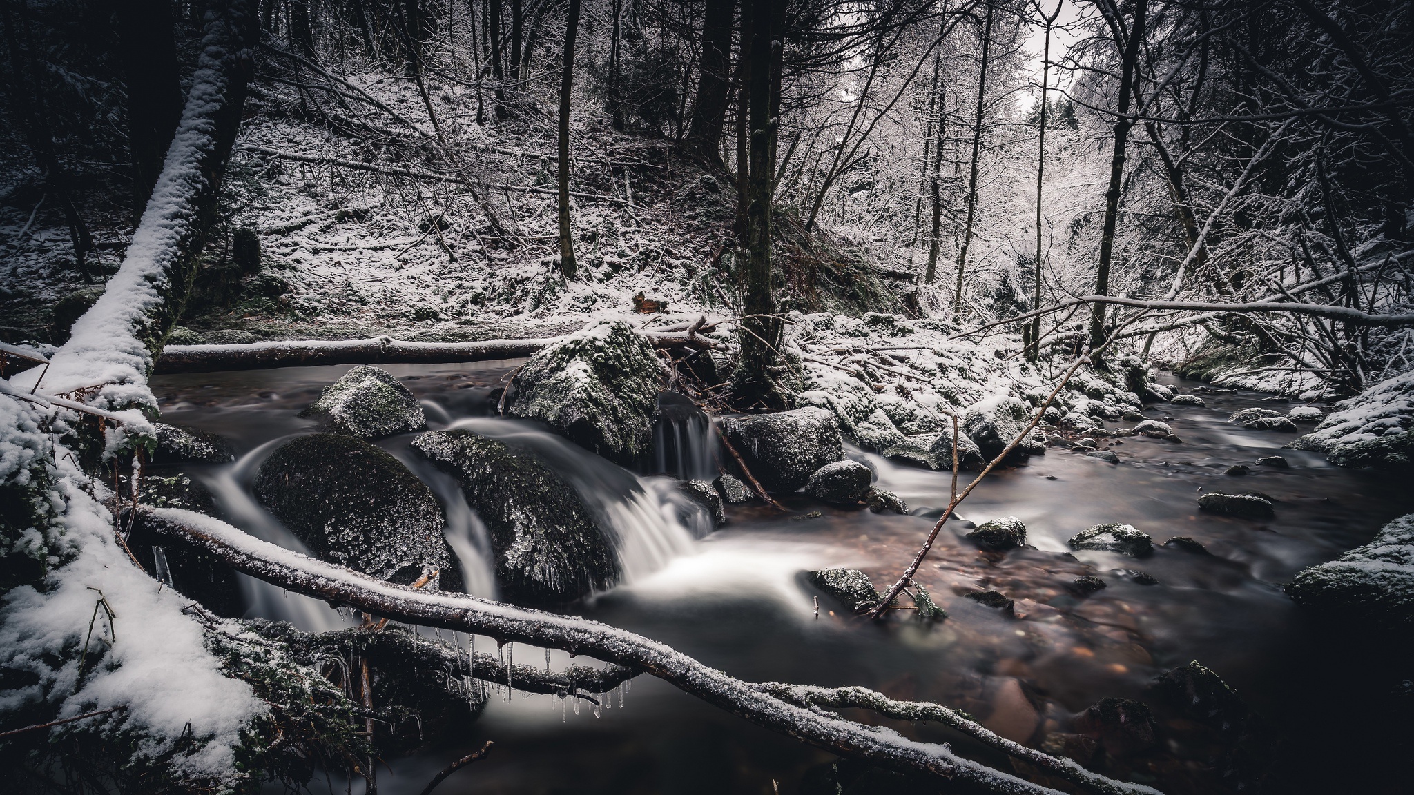 Скачать картинку Зима, Природа, Снег, Лес, Дерево, Ручей, Земля/природа в телефон бесплатно.