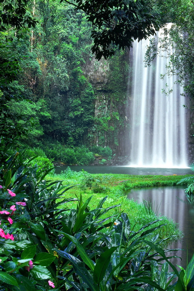 Download mobile wallpaper Water, Waterfalls, Flower, Waterfall, Earth for free.