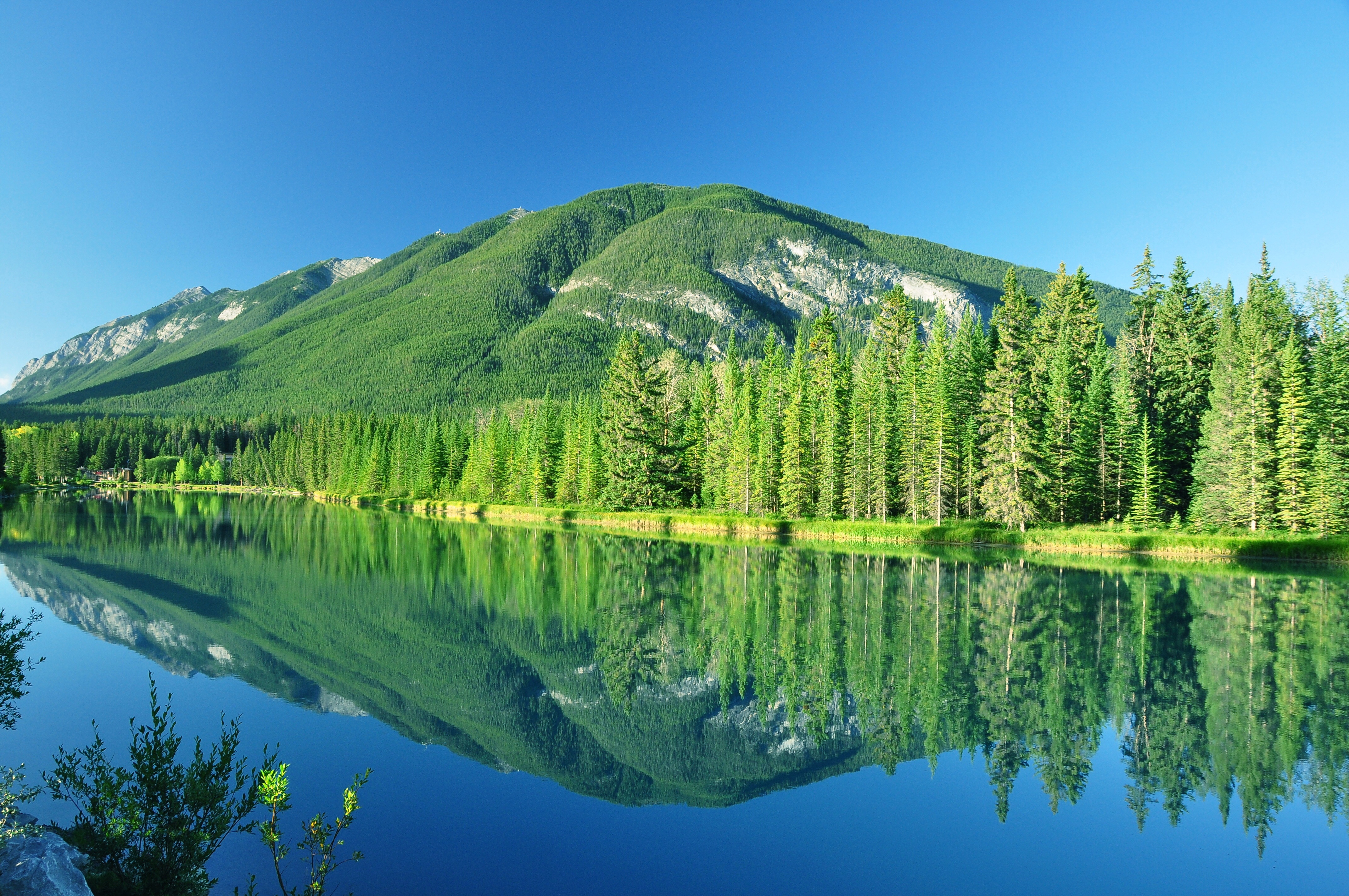 753041 descargar fondo de pantalla tierra/naturaleza, reflejo, parque nacional banff, canadá, bosque, lago, paisaje, montaña, árbol: protectores de pantalla e imágenes gratis