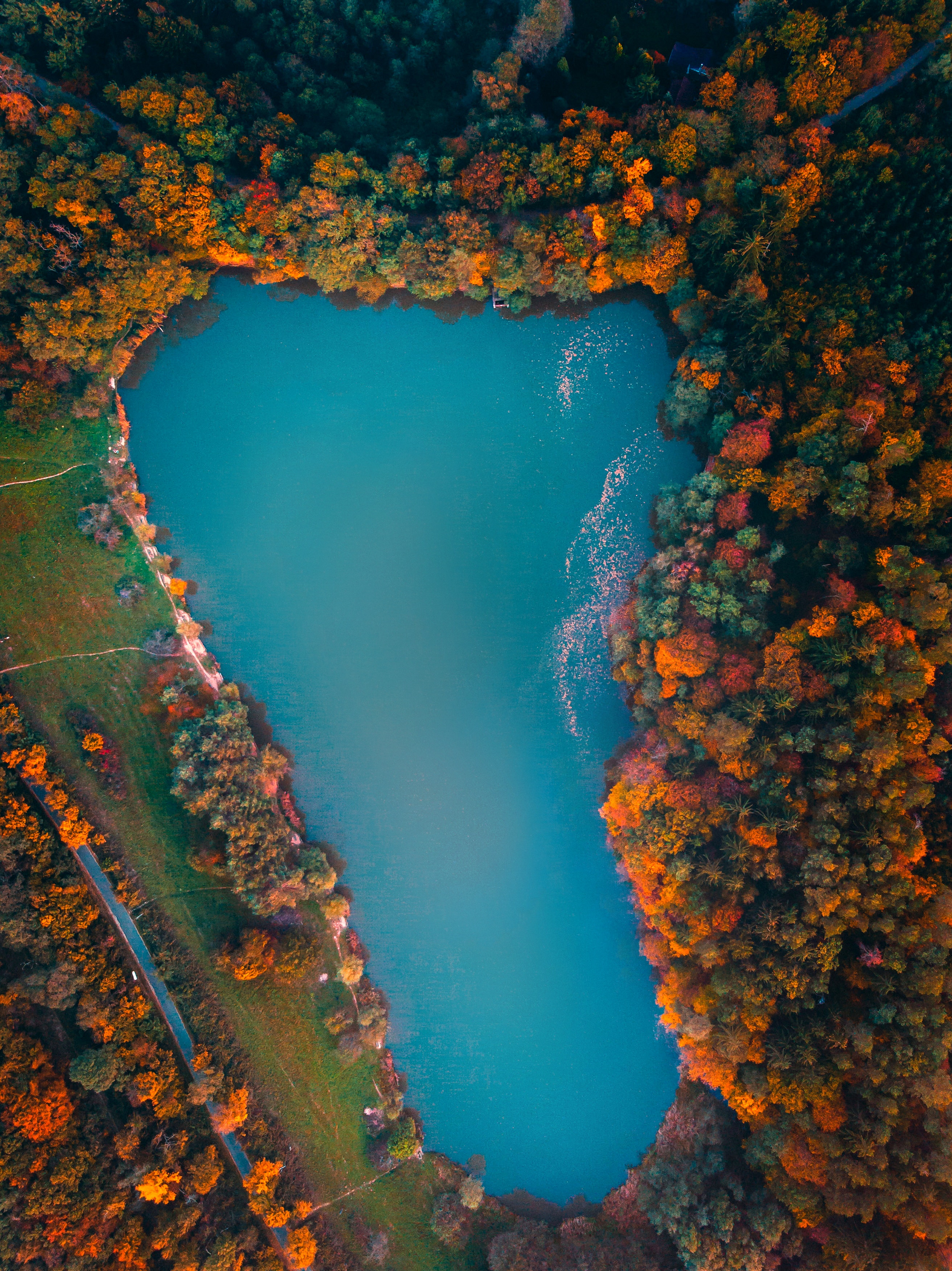 Скачать обои бесплатно Венгрия, Вид Сверху, Деревья, Озеро, Природа, Осень картинка на рабочий стол ПК
