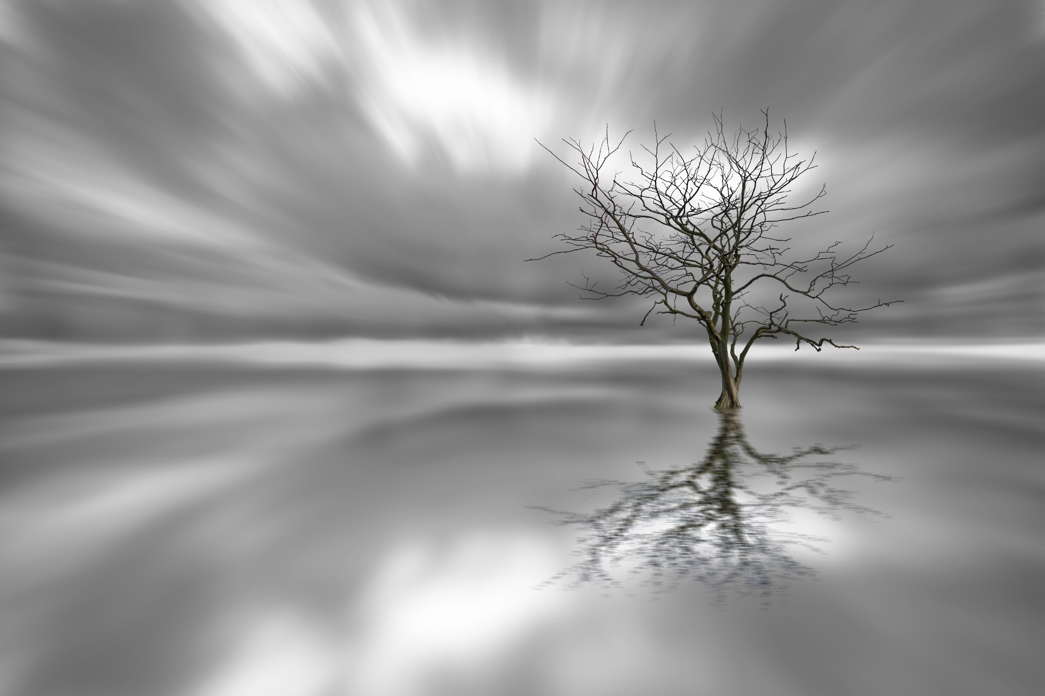 Download mobile wallpaper Trees, Black & White, Lonely Tree, Tree, Nature, Earth, Reflection, Cloud for free.