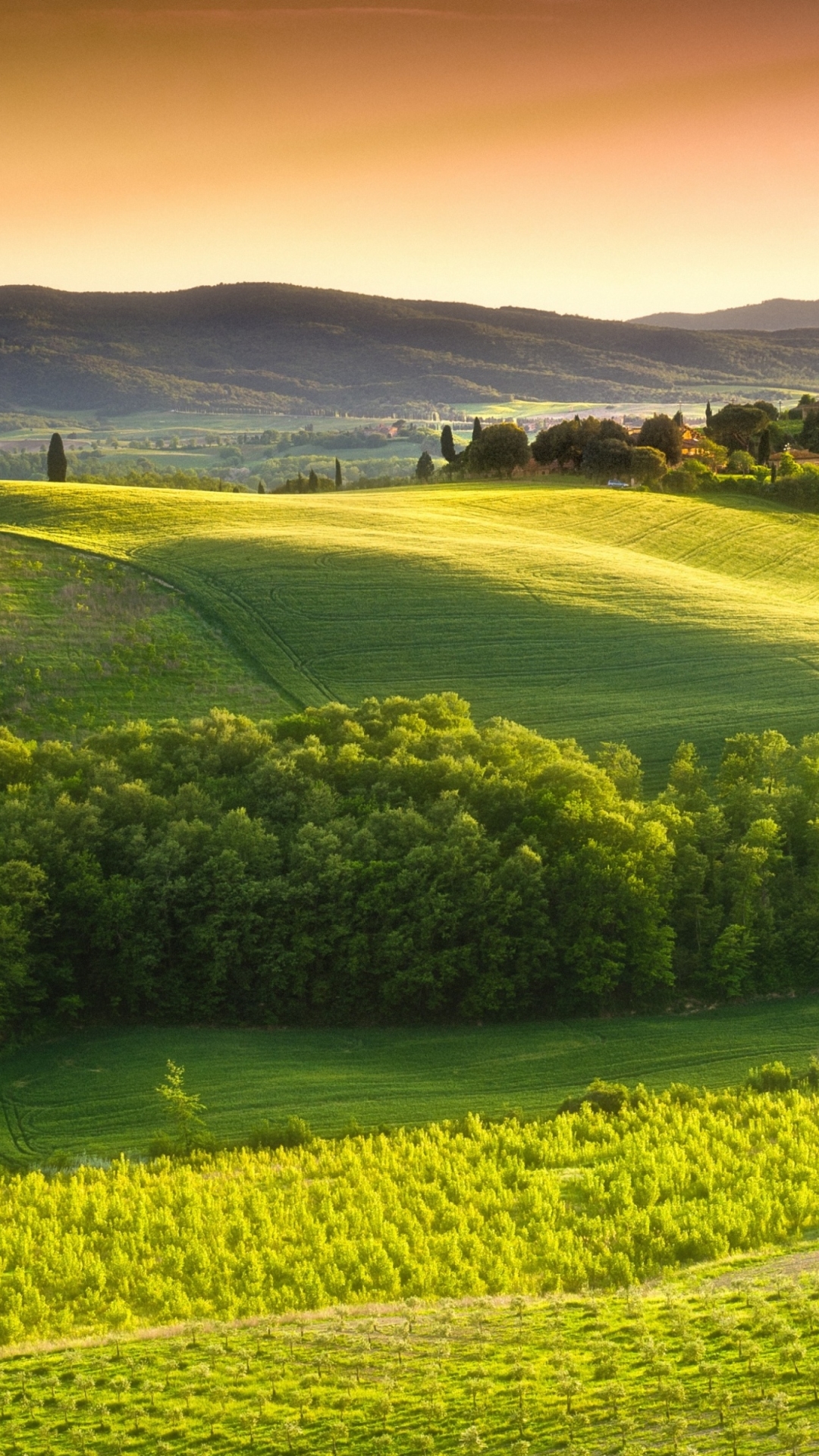 Italy  Free Stock Photos