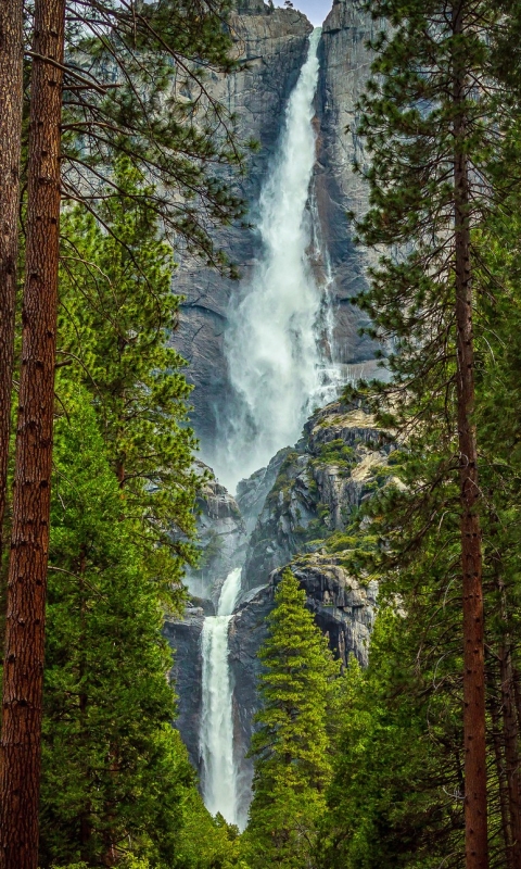 Скачать картинку Водопады, Гора, Водопад, Лес, Дерево, Земля, Зеленый, Йосемитский Национальный Парк, Земля/природа в телефон бесплатно.