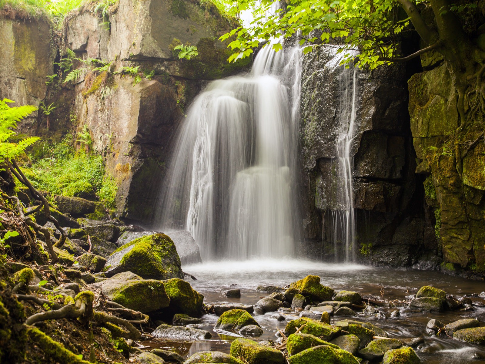 Descarga gratis la imagen Naturaleza, Agua, Cascada, Musgo, Tierra/naturaleza en el escritorio de tu PC