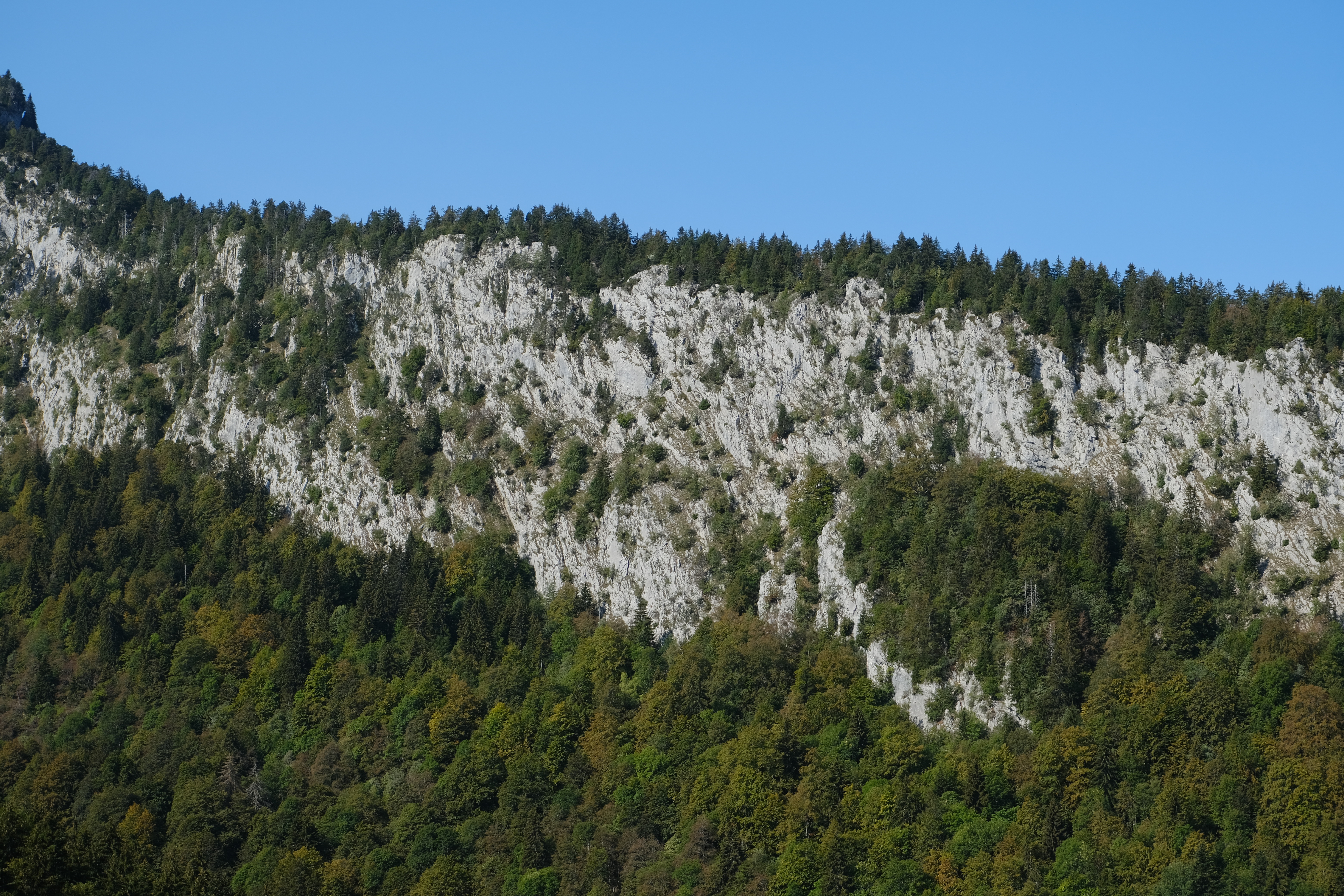Handy-Wallpaper Bäume, Berg, Landschaft, Natur, Felsen, Rock kostenlos herunterladen.