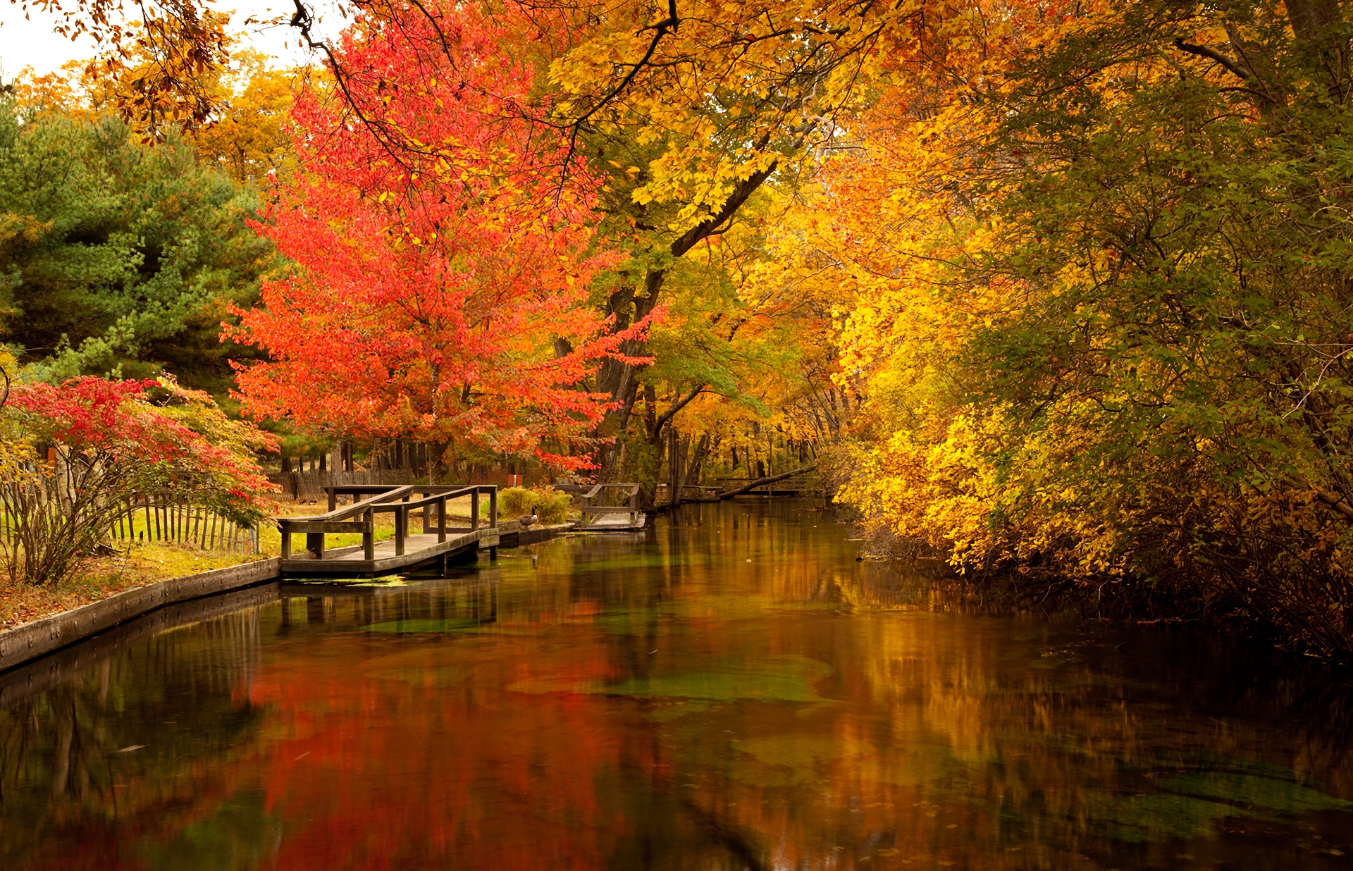 Скачать обои бесплатно Осень, Парк, Дерево, Пруд, Фотографии картинка на рабочий стол ПК