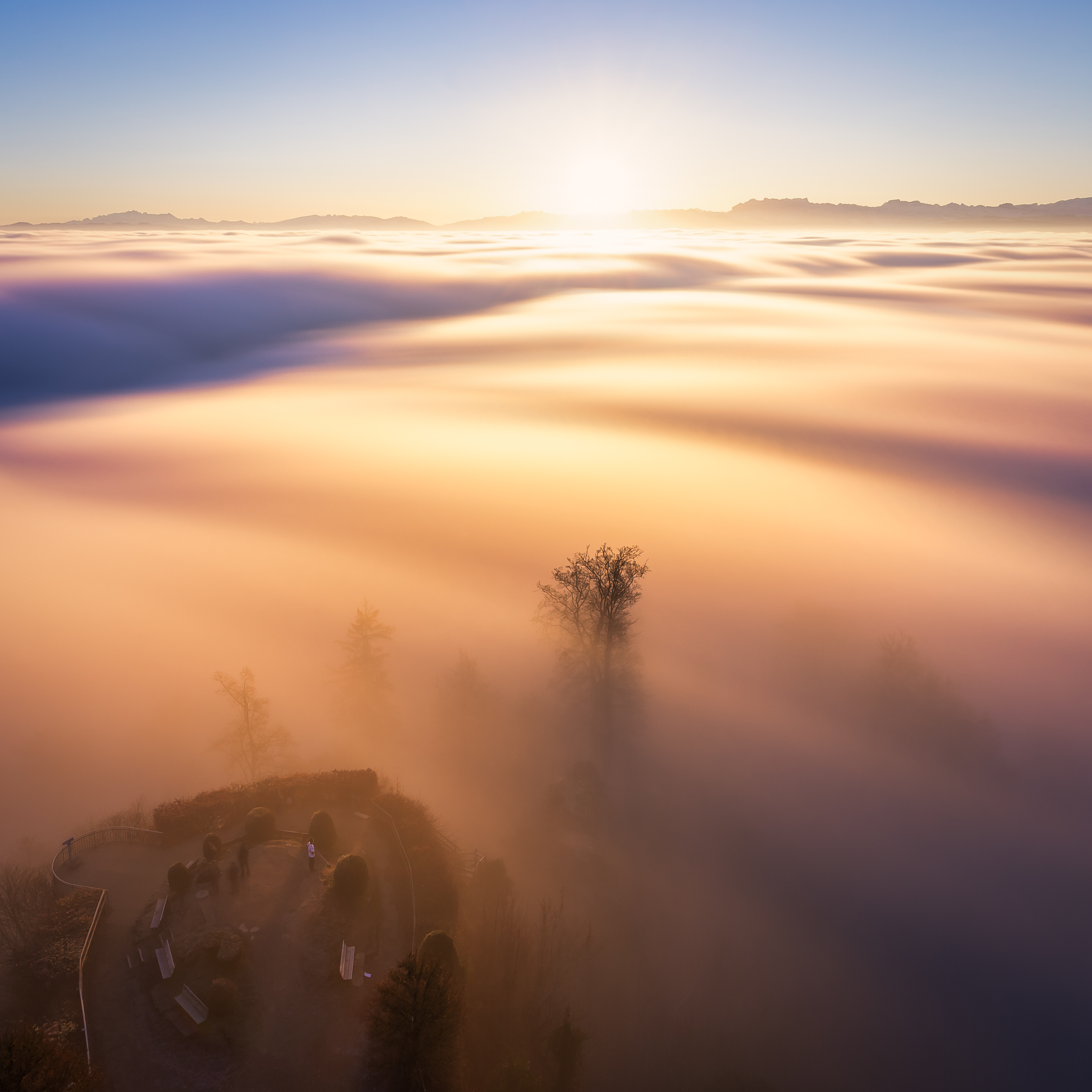 dawn, shine, nature, clouds, light, fog HD wallpaper