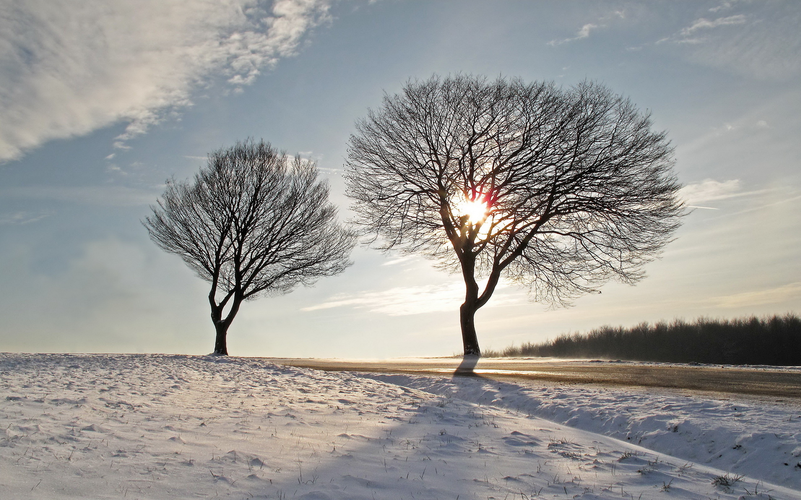 Download mobile wallpaper Winter, Tree, Earth for free.