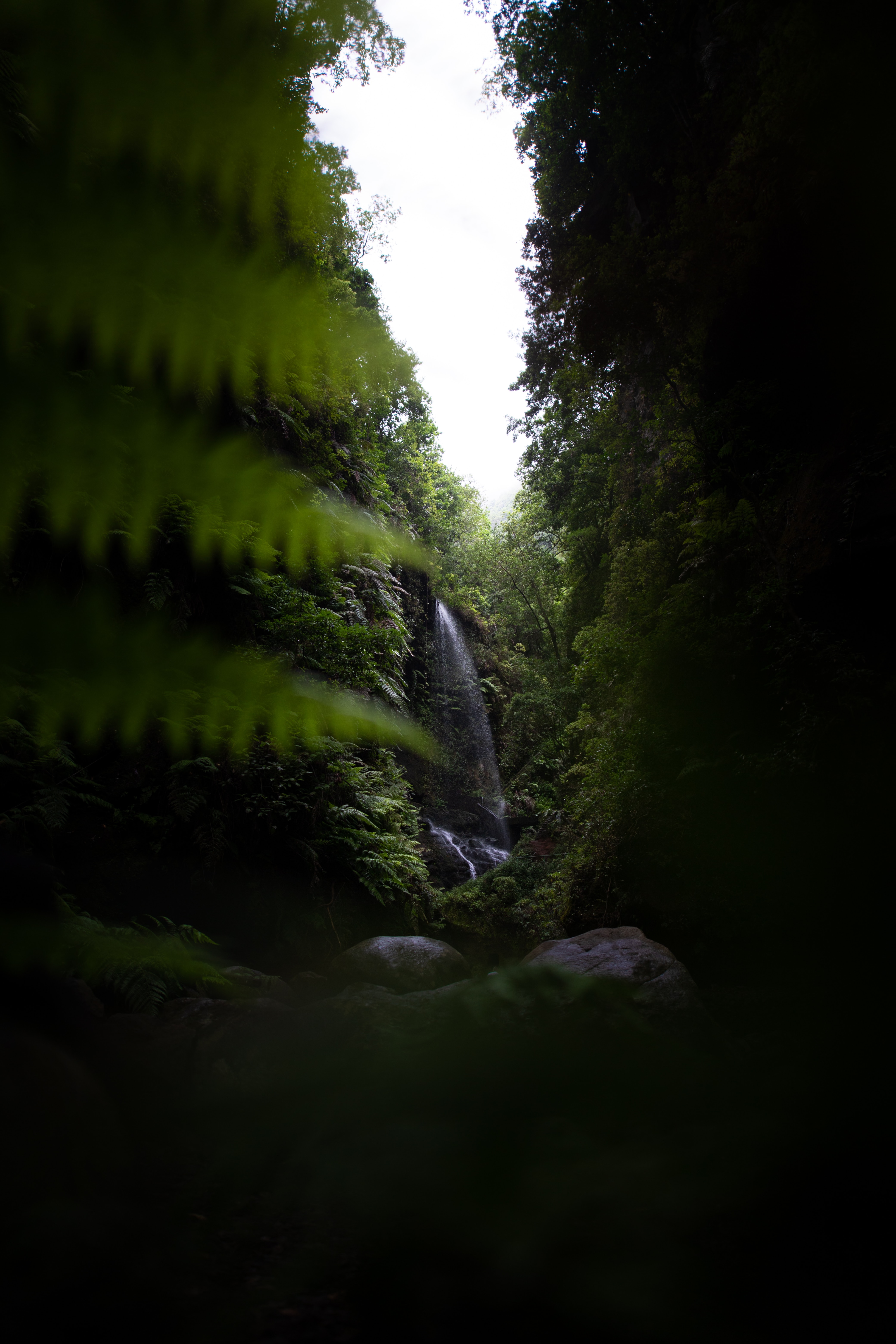 Free download wallpaper Nature, Waterfall, Vegetation, Dark, Jungle on your PC desktop