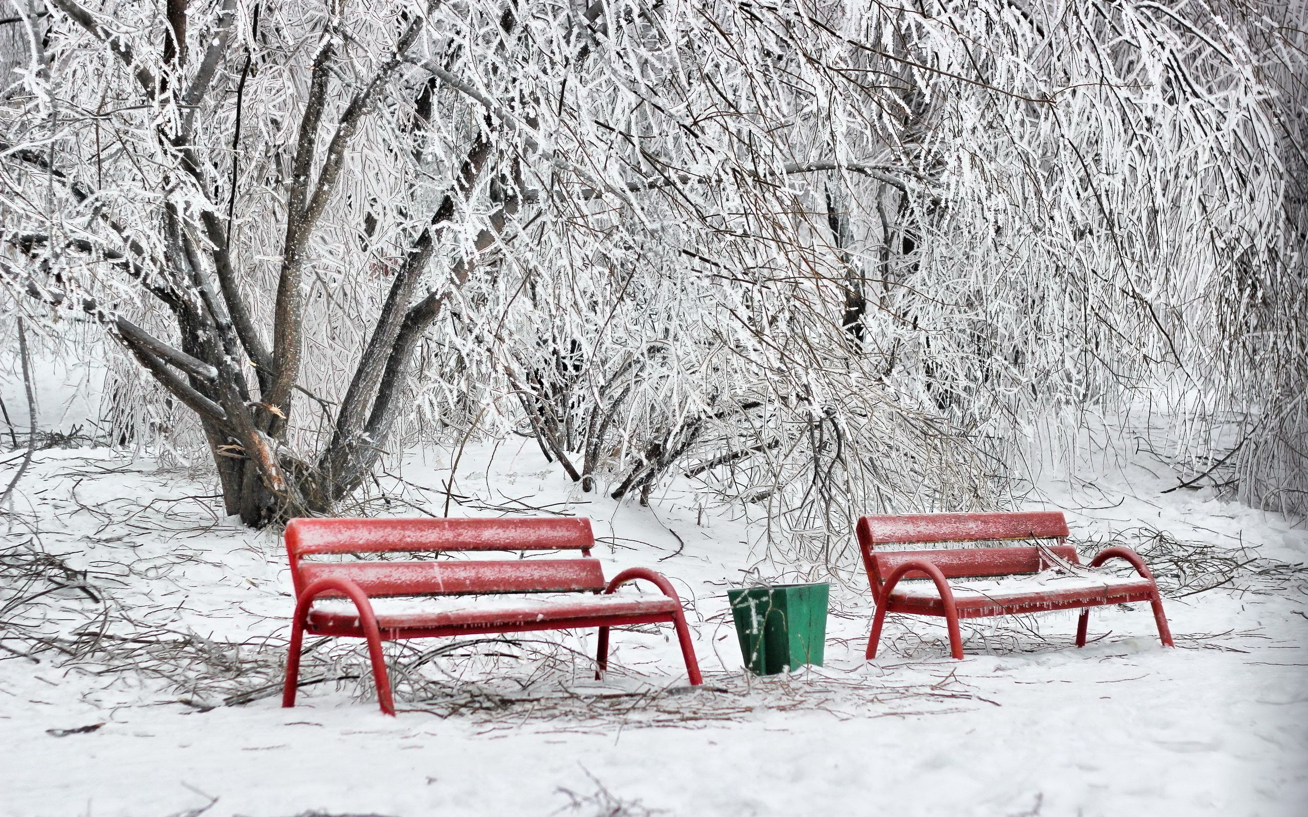 120633 скачать обои скамейки, зима, природа, снег, красные, иней, холод, урна - заставки и картинки бесплатно