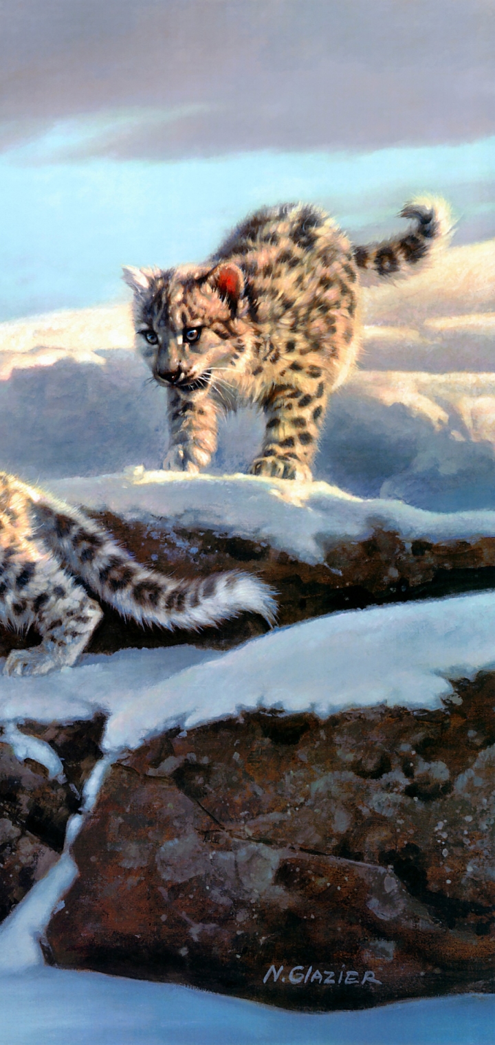 Download mobile wallpaper Winter, Cats, Snow Leopard, Animal for free.