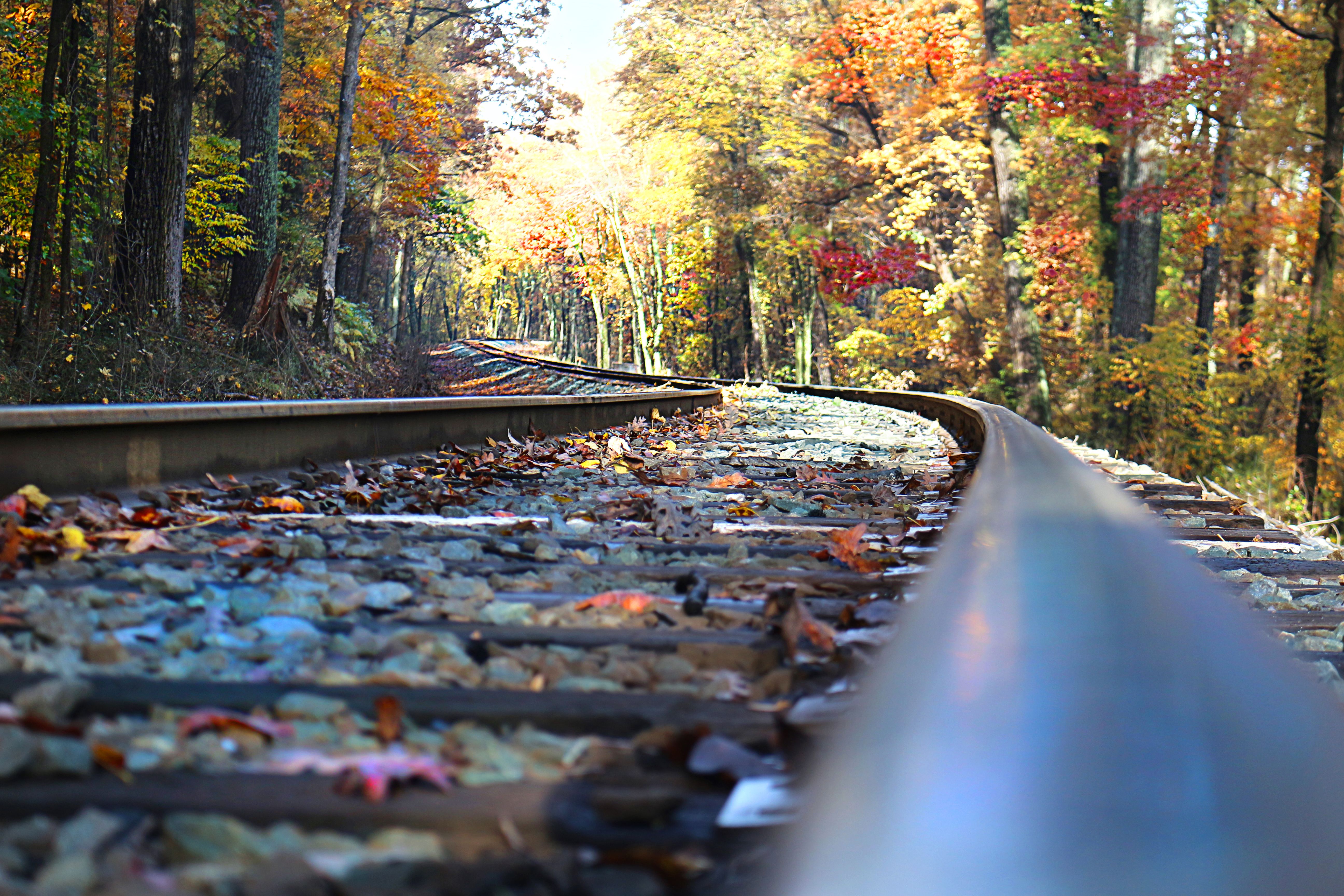 Download mobile wallpaper Tree, Fall, Railroad, Man Made for free.