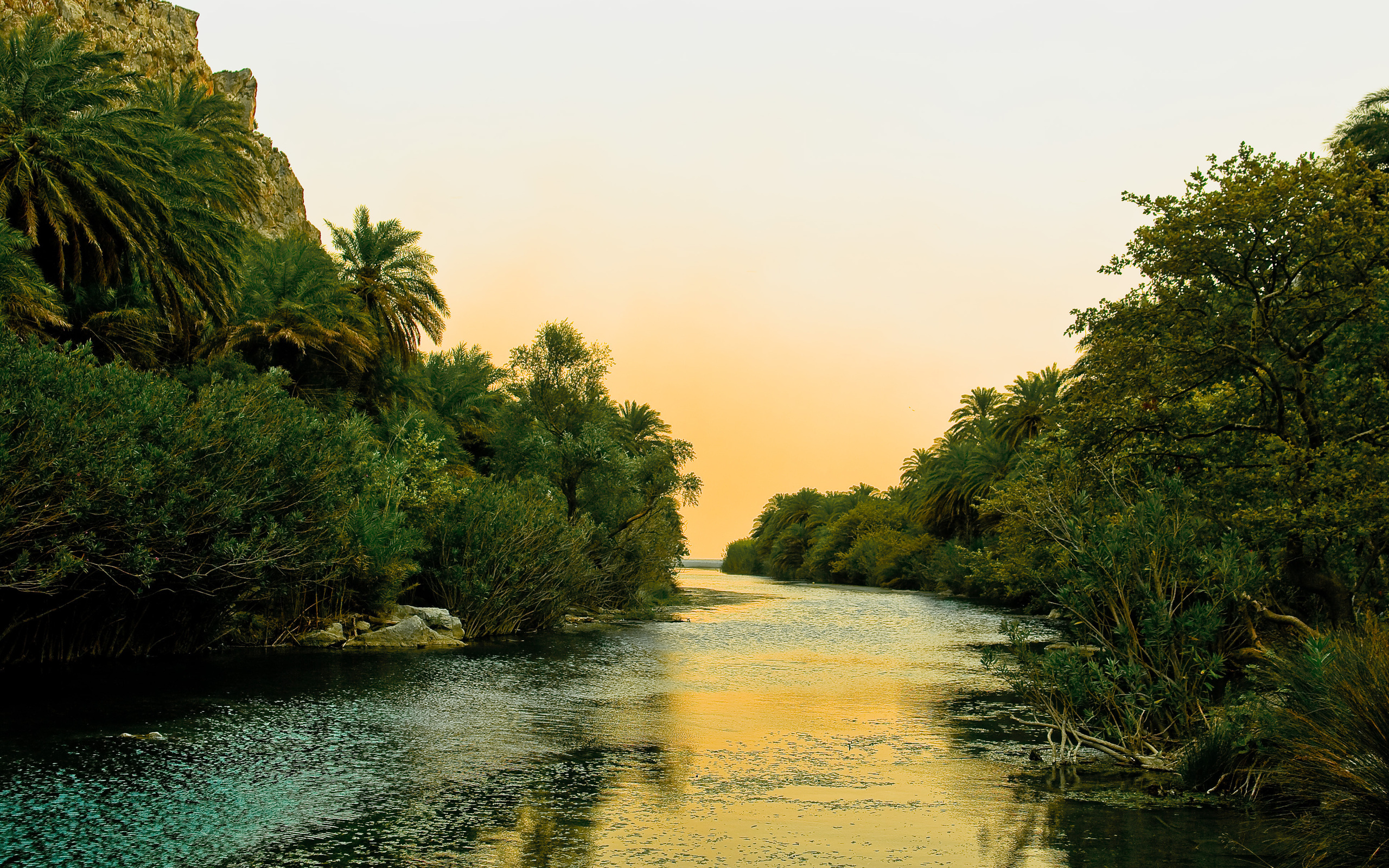 Free download wallpaper Rivers, Landscape, Palms on your PC desktop