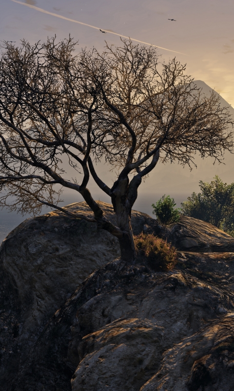Download mobile wallpaper Road, Tree, Video Game, Grand Theft Auto, Grand Theft Auto V for free.