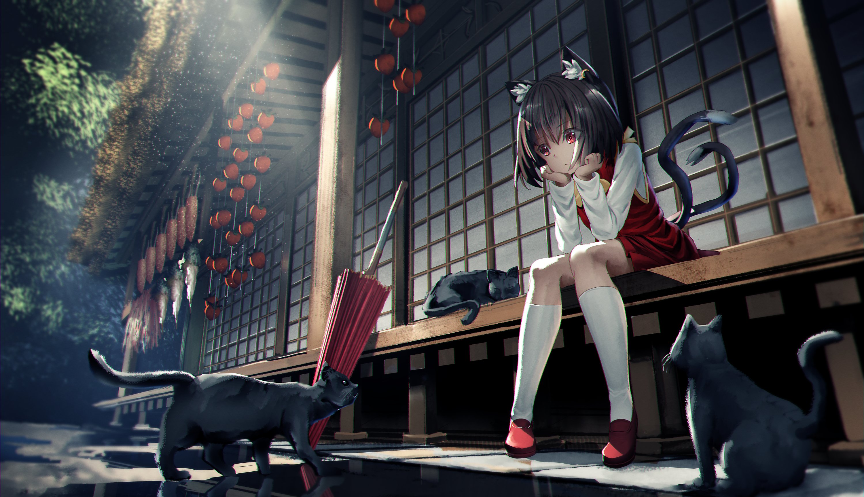 Laden Sie das Animes, Tuhu, Chen (Touhou)-Bild kostenlos auf Ihren PC-Desktop herunter
