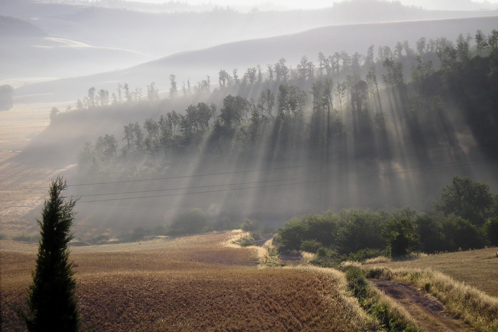 Download mobile wallpaper Rays, Fog, Field, Beams, Sun, Nature, Hills, Morning for free.
