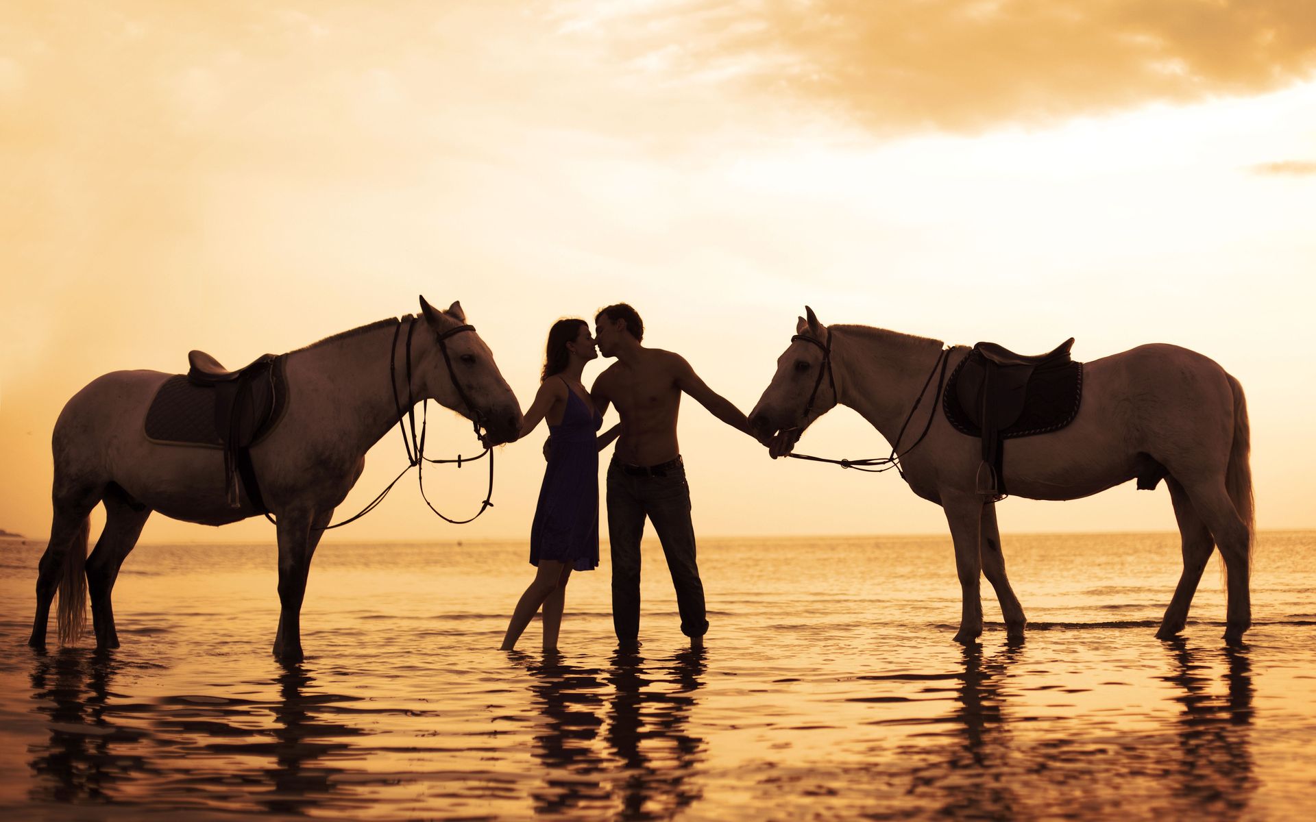 Скачать картинку Пляж, Любовь, Океан, Лошадь, Фотографии в телефон бесплатно.