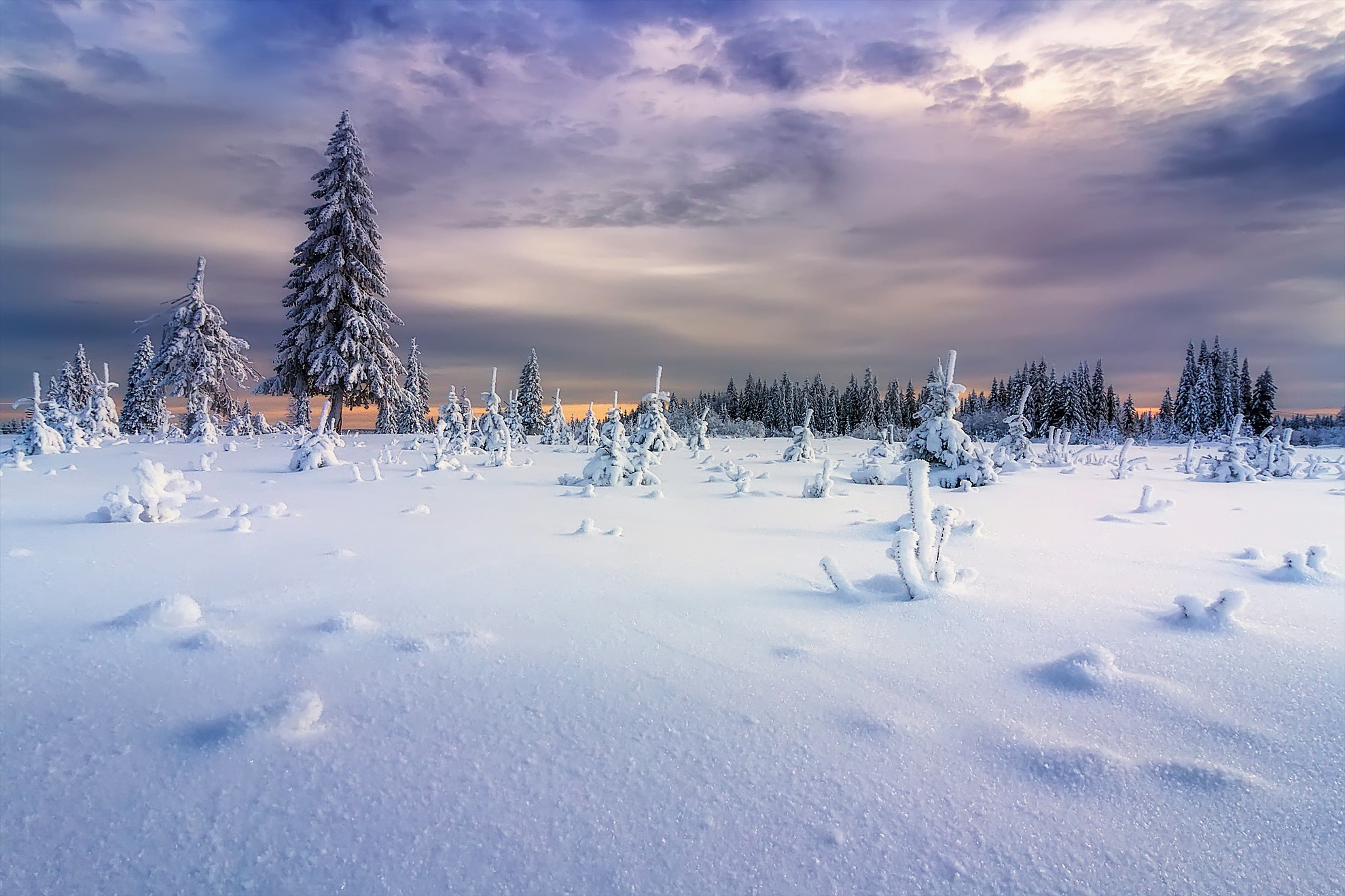 Handy-Wallpaper Winter, Natur, Schnee, Baum, Himmel, Erde/natur kostenlos herunterladen.