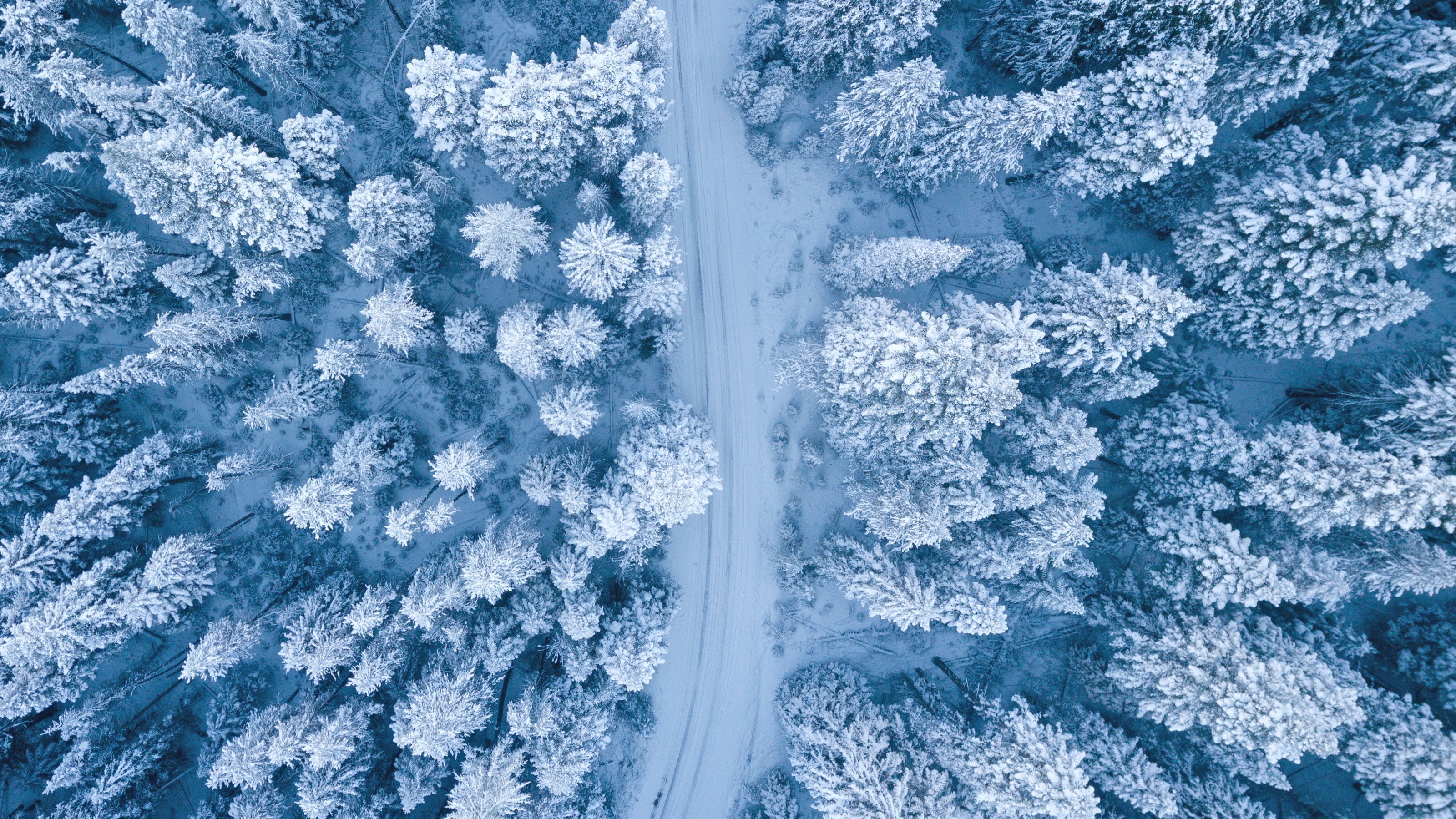 Download mobile wallpaper Winter, Snow, Road, Forest, Photography, Aerial, Fir Tree for free.